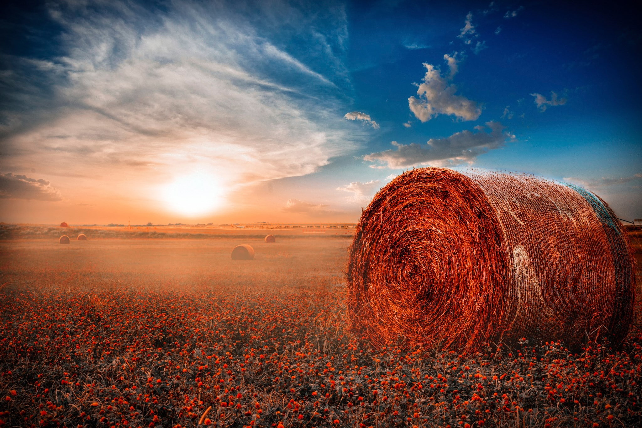 haystack