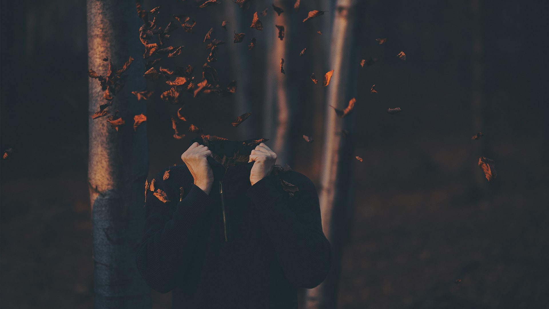 fall, headless, leaves