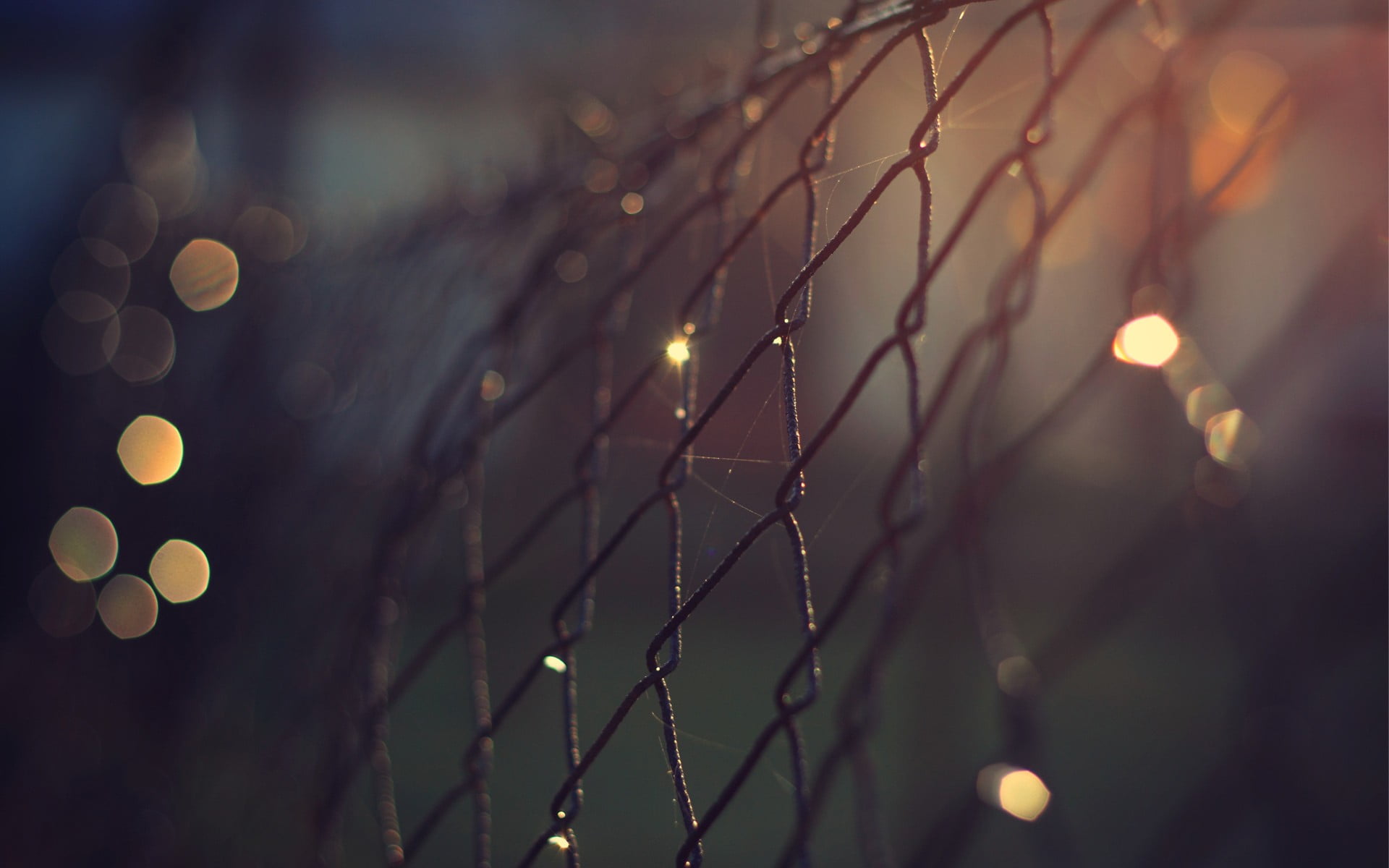 selective focus photography of mesh fence, bokeh, chain-link