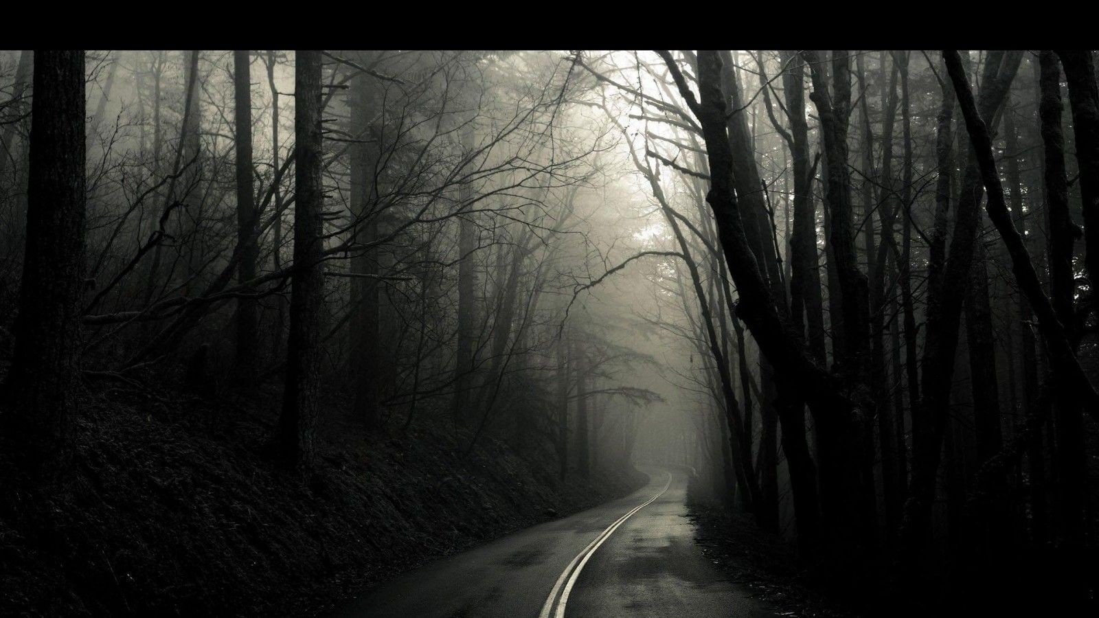 nowhere dark eerie trees road nightmare, plant, fog, forest