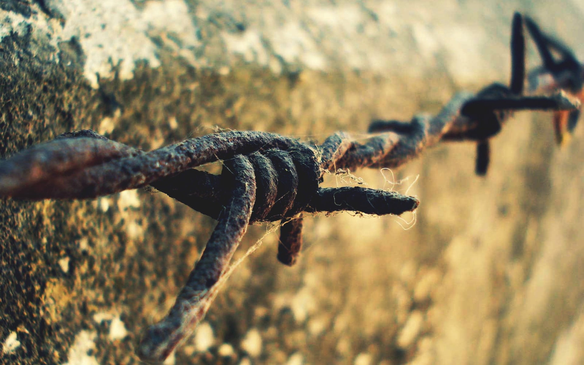 brown barbed wire close-up photography, rust, mounting, wall