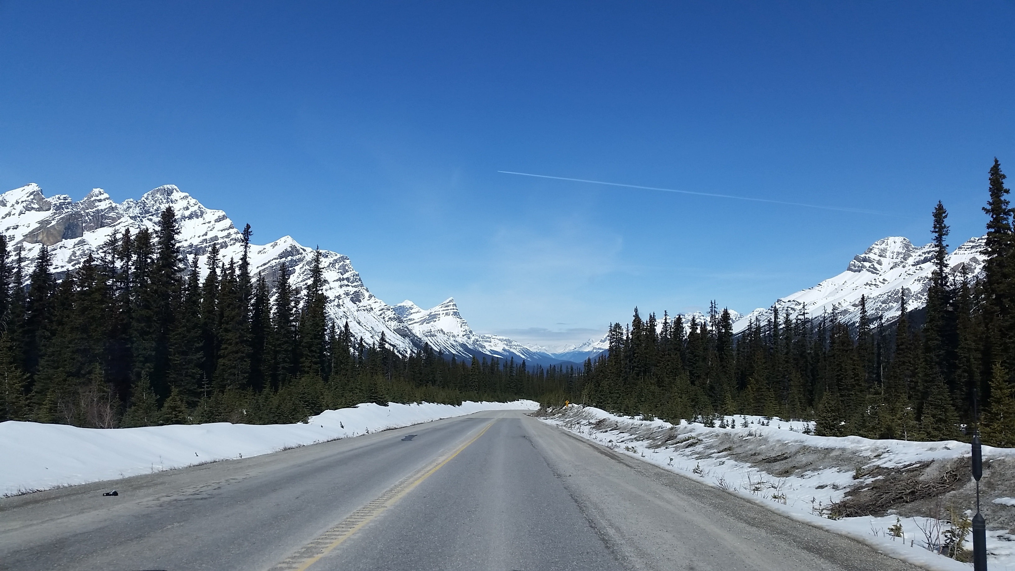 Highway, Icefields Parkway, Alberta