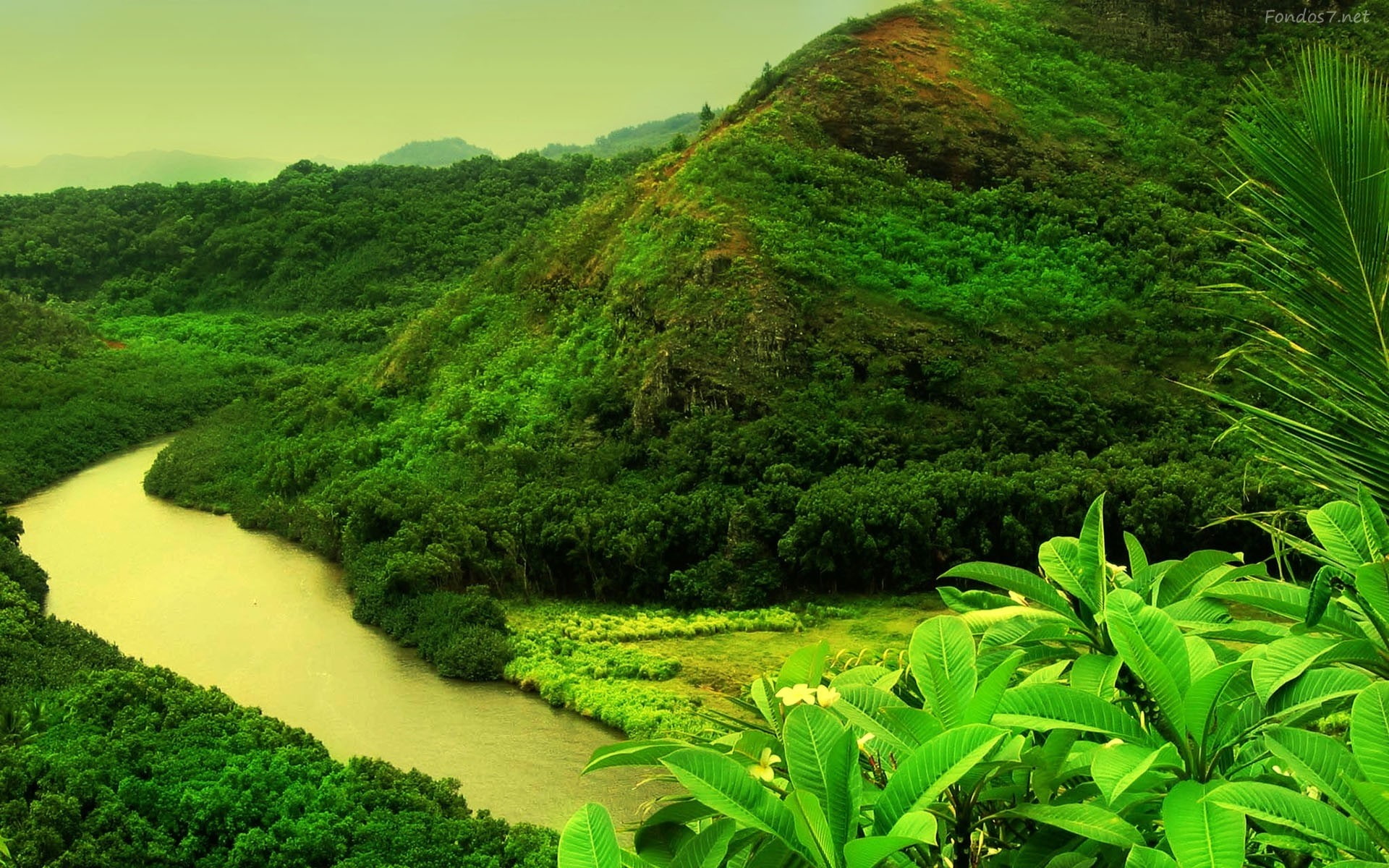 river, yellow, plant, green color, growth, tree, beauty in nature