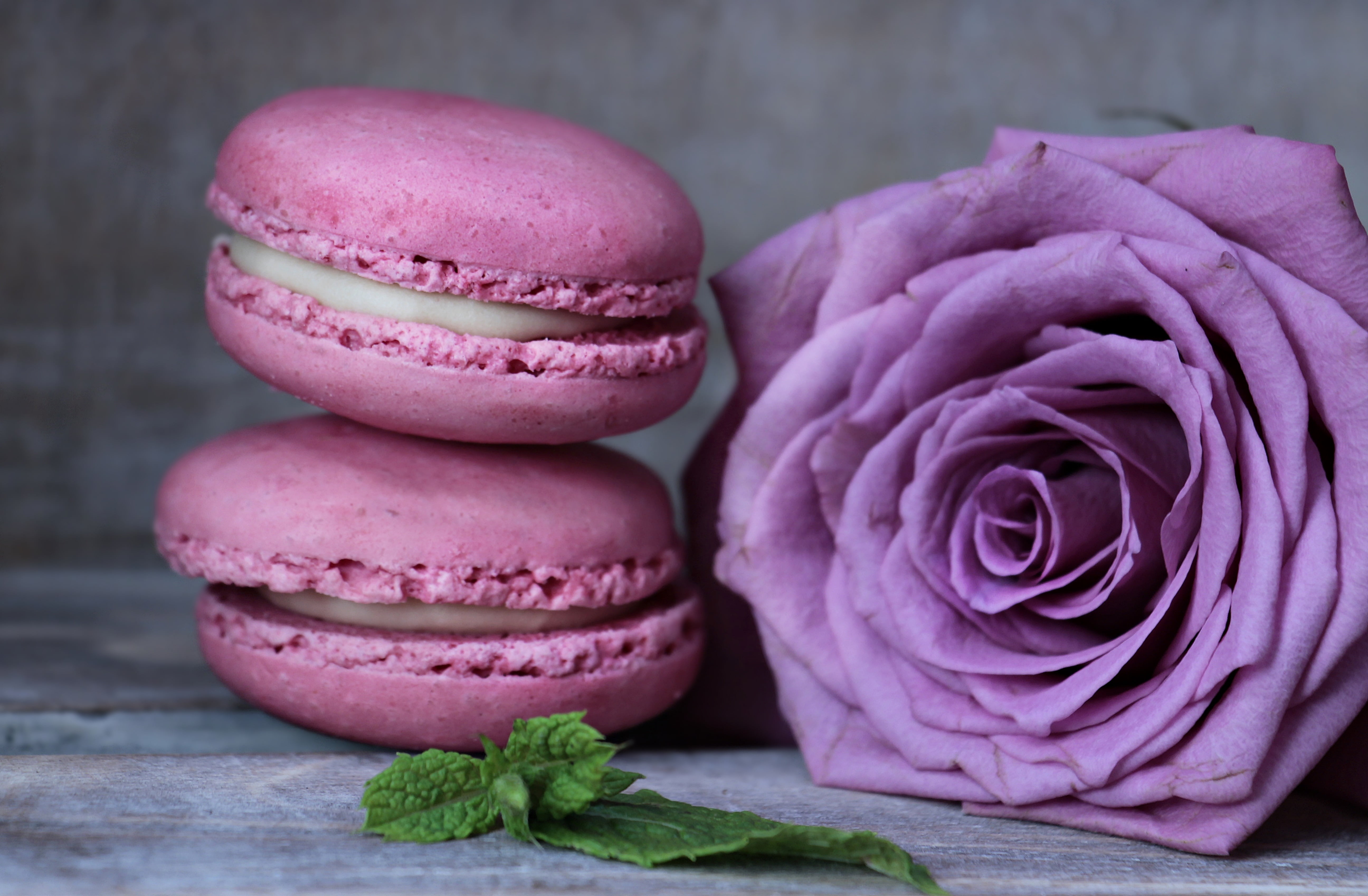 two macarons and purple rose flower, almond biscuits, pastries