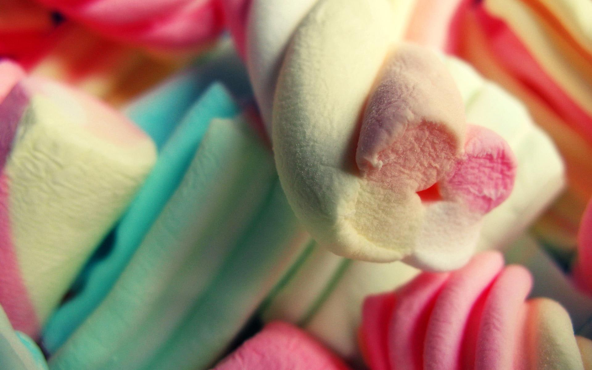 Marshmallow HD Pictures, white blue and pink marshmallows, food