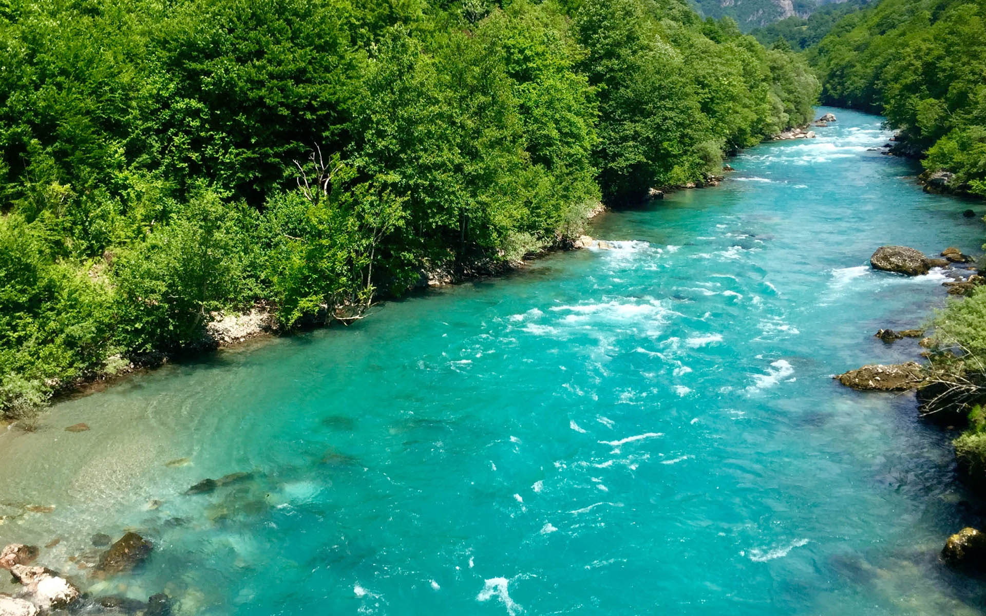 Tara River Montenegro 93874