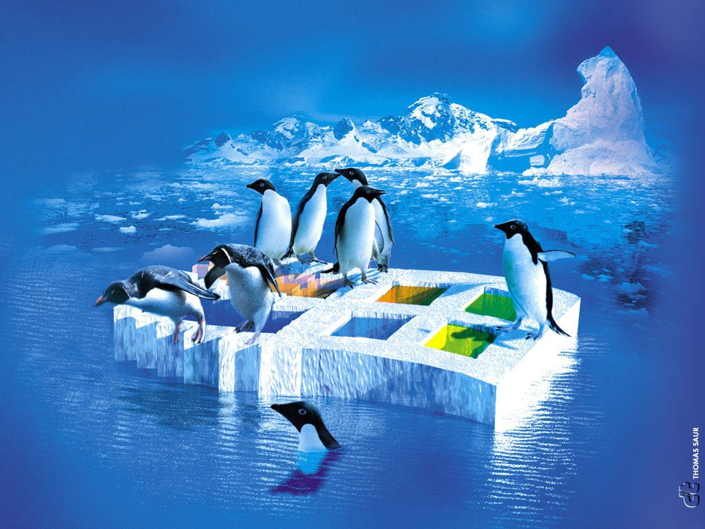 Windows Microsoft logo, Technology, Linux