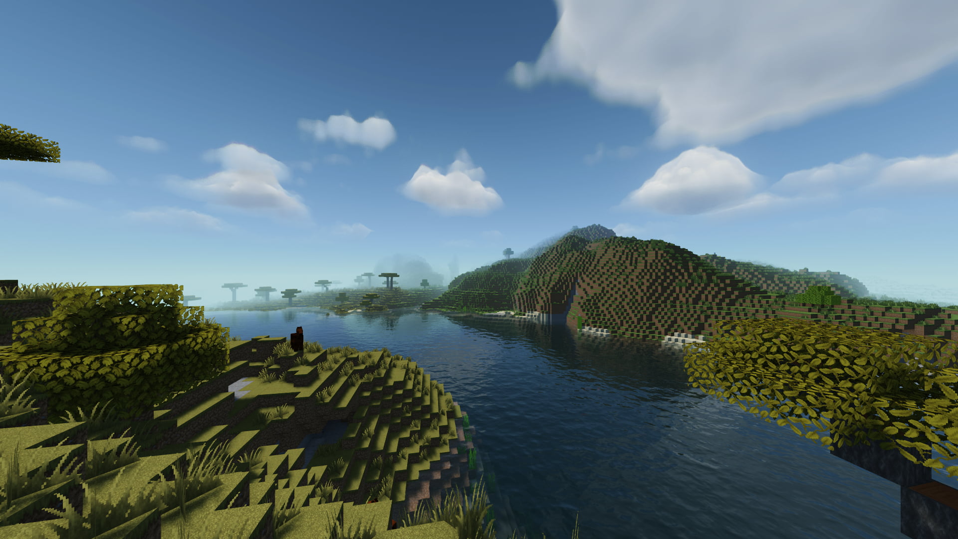 Minecraft, Java