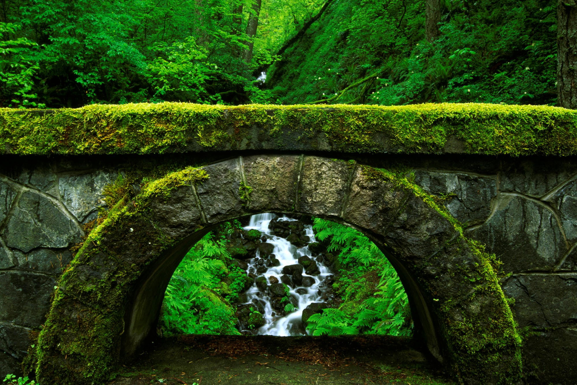 stream