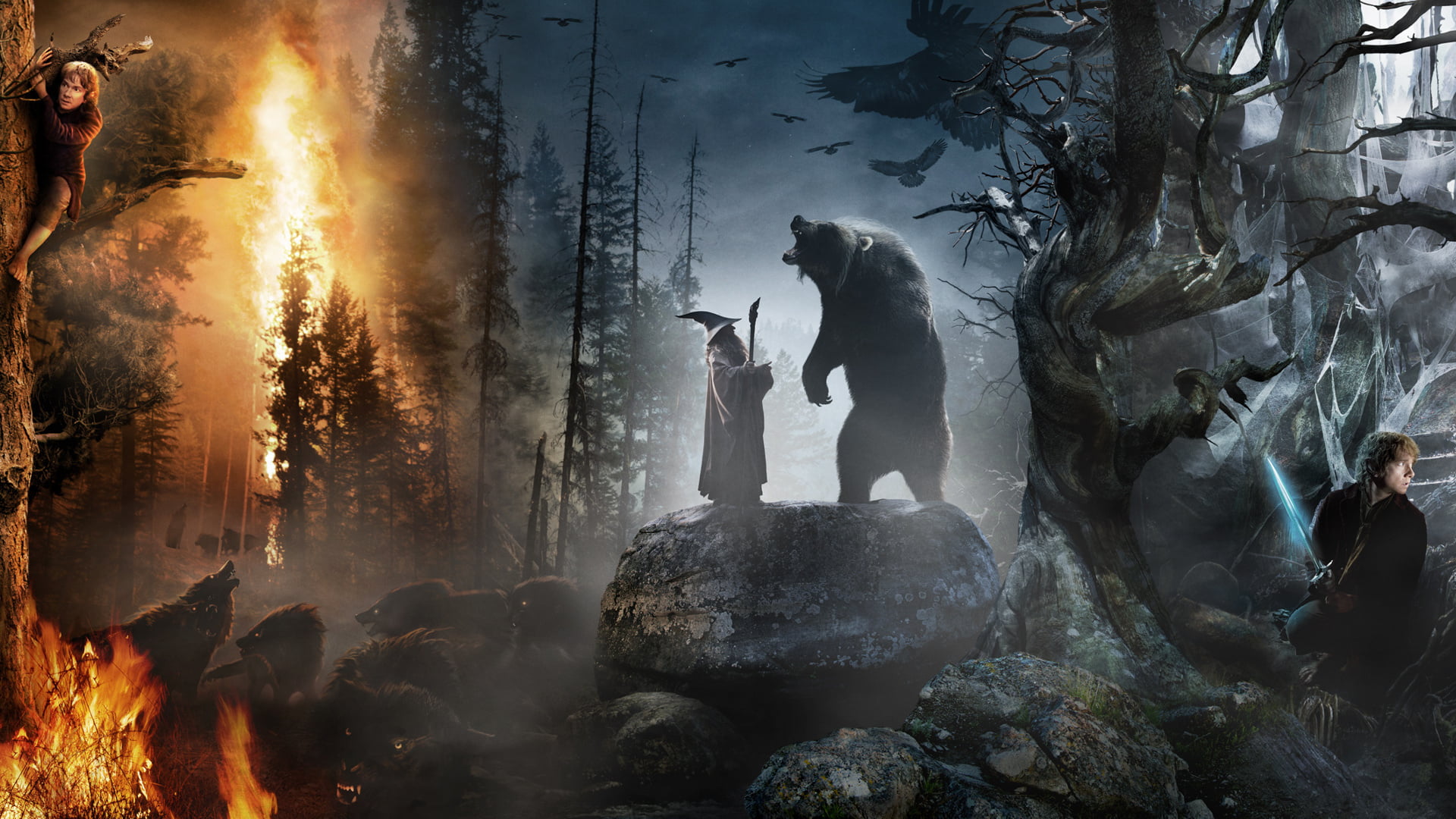 witch and bear illustration, forest, stones, animals, fire, collage