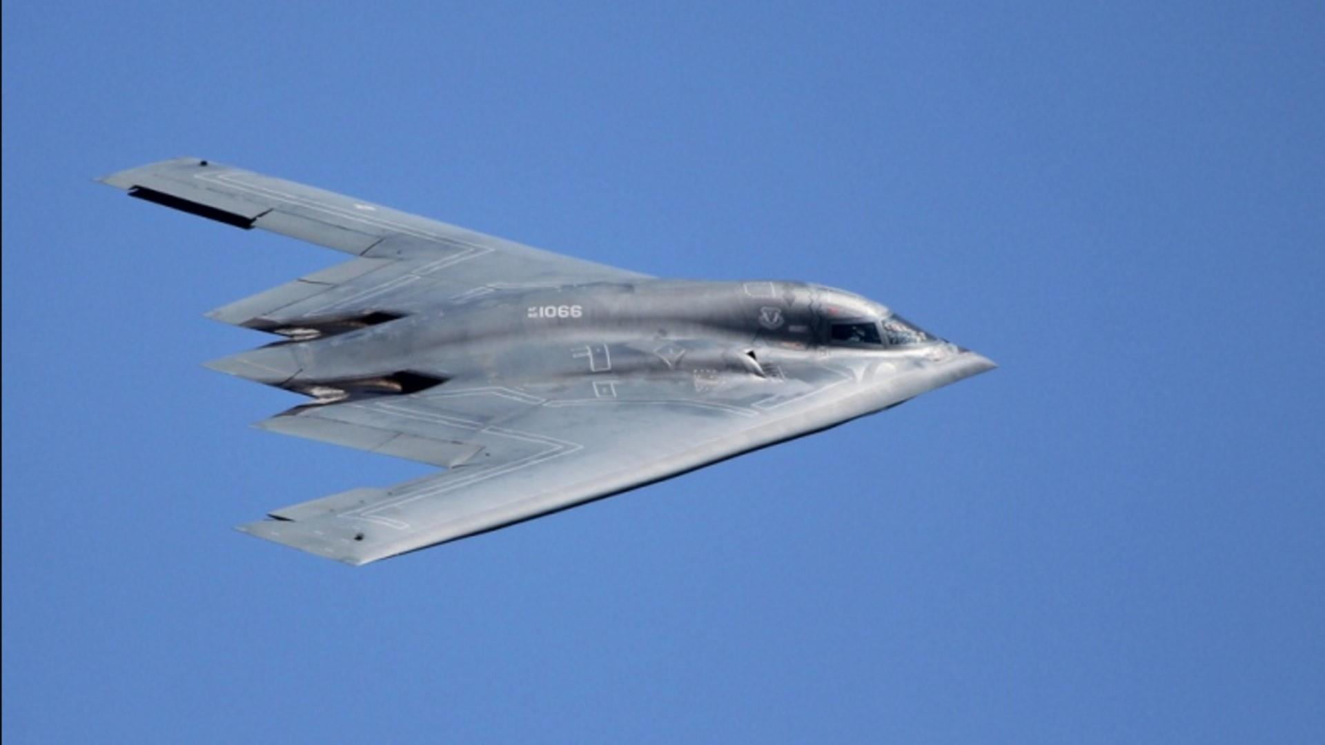 b2 bomber, blue, sky, no people, clear sky, side view, animal