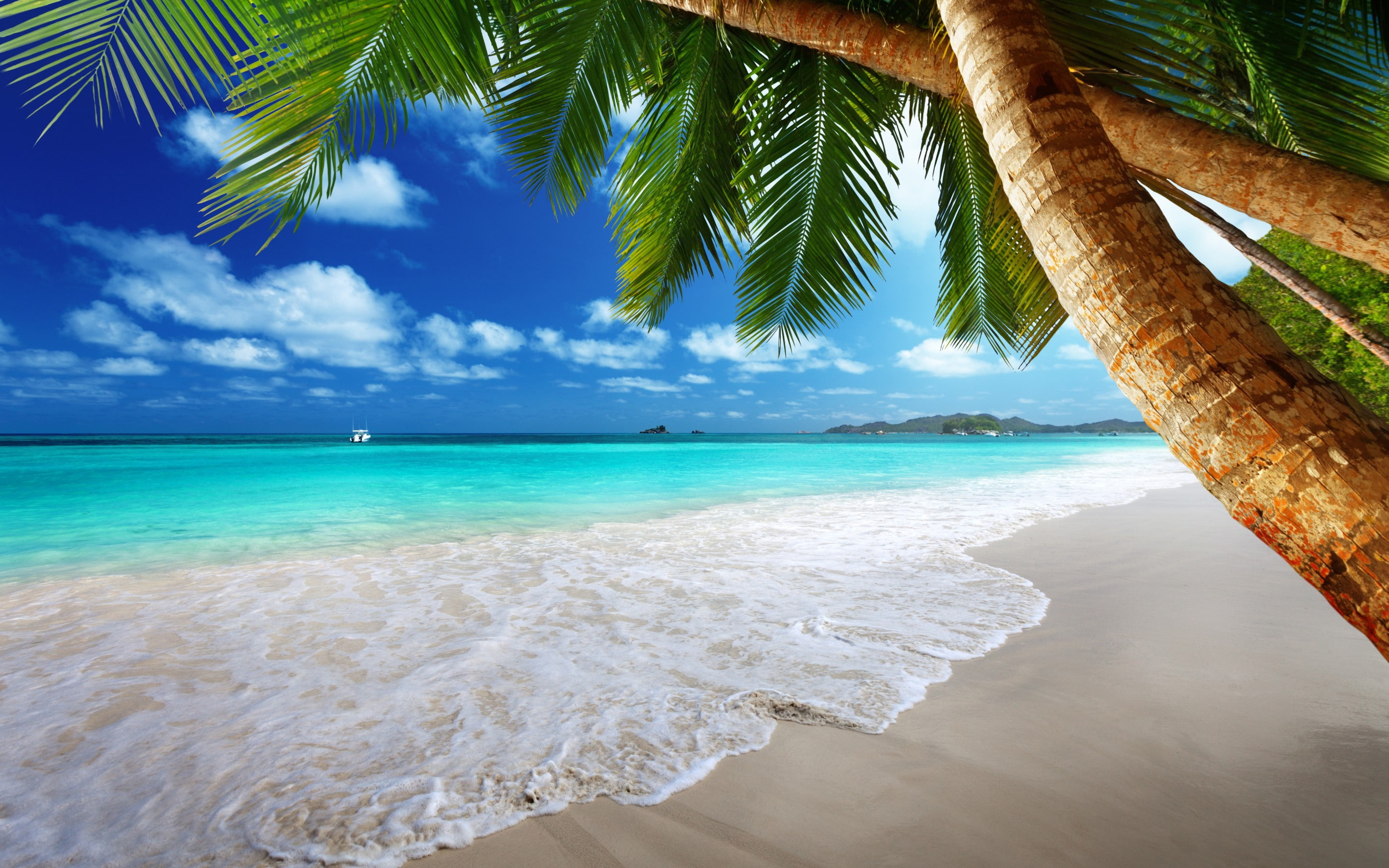 Tropical paradise on beach, coast, Sea, blue, emerald, Ocean