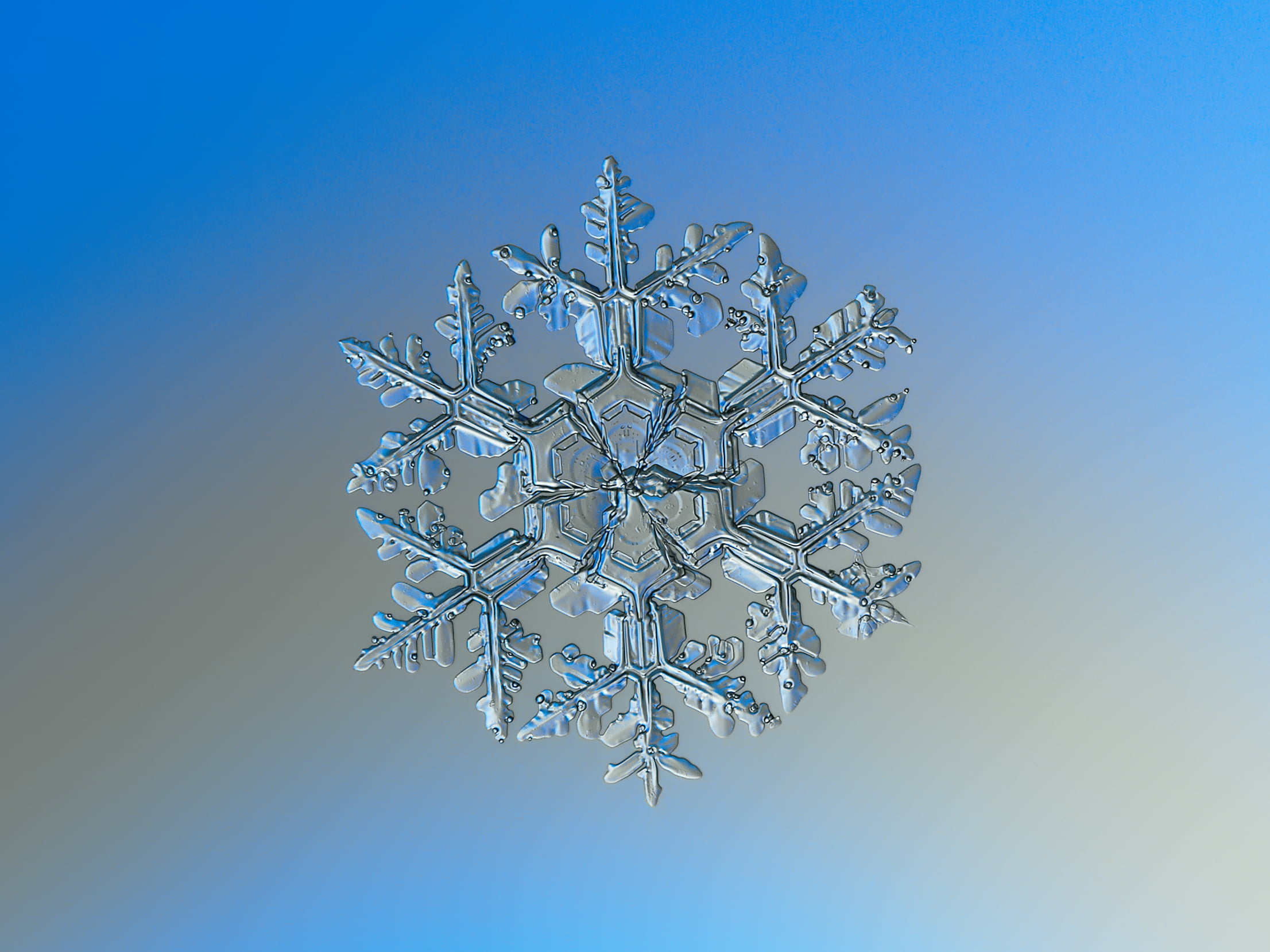 selective photo of snowflakes, macro, gardener, dream, explore