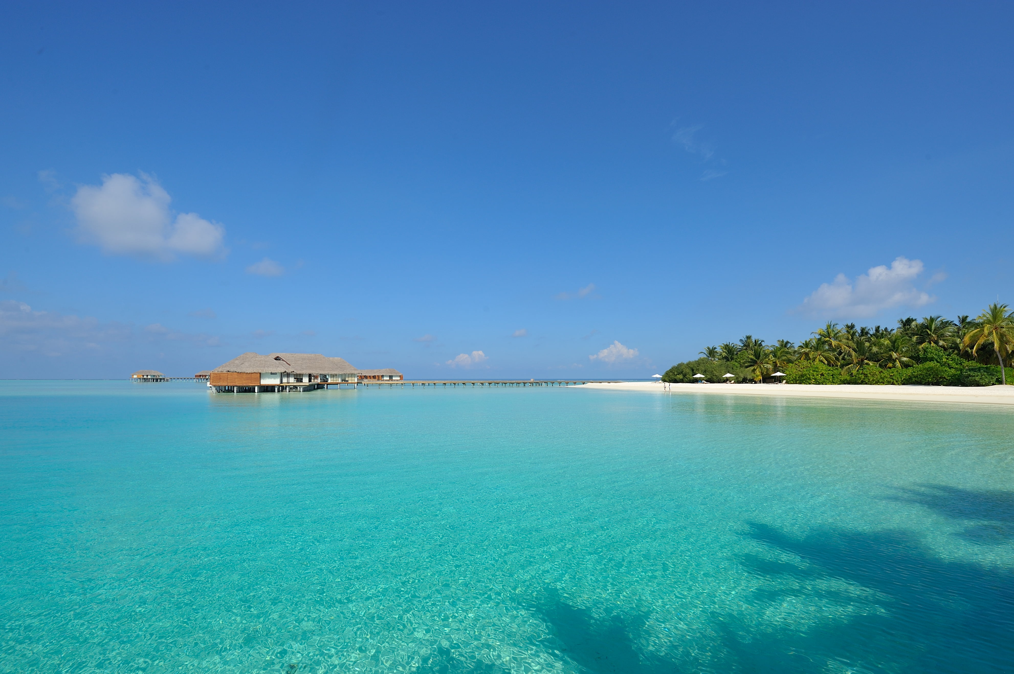 white sand beach, clear water, island, The Maldives, Seychelles
