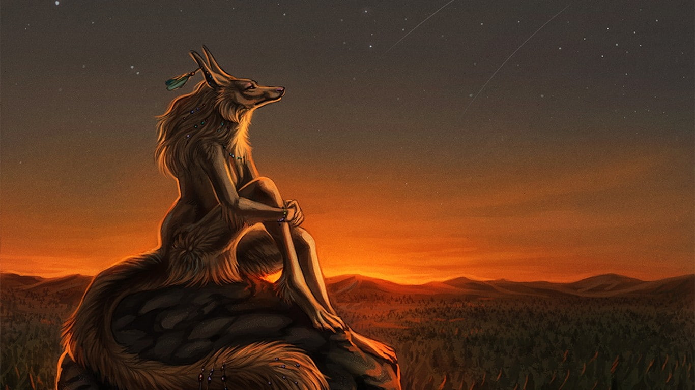 Free download | HD wallpaper: furry, Anthro, sky, sunset, nature ...