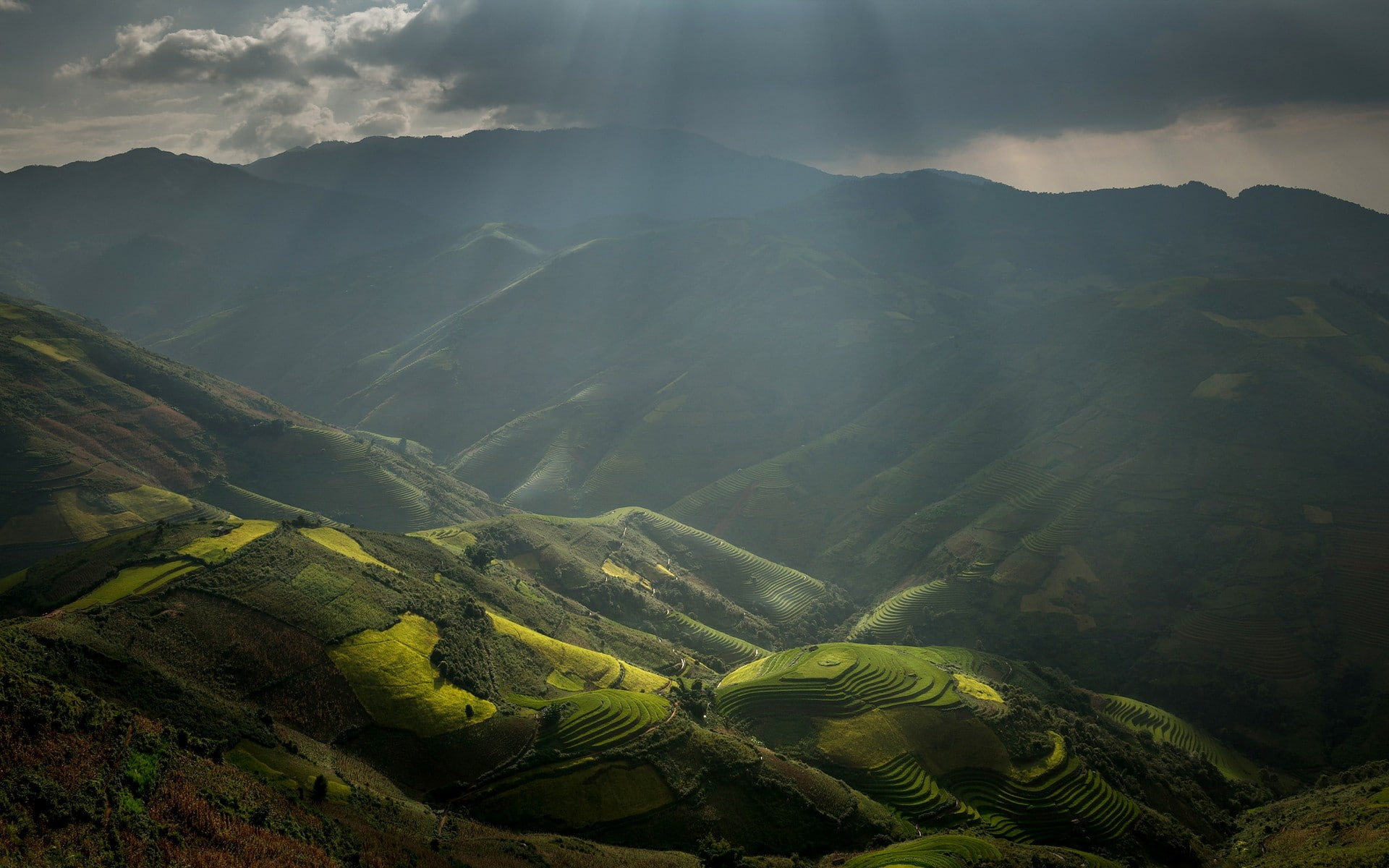 nature, landscape, rice paddy, sun rays, mountains, terraces