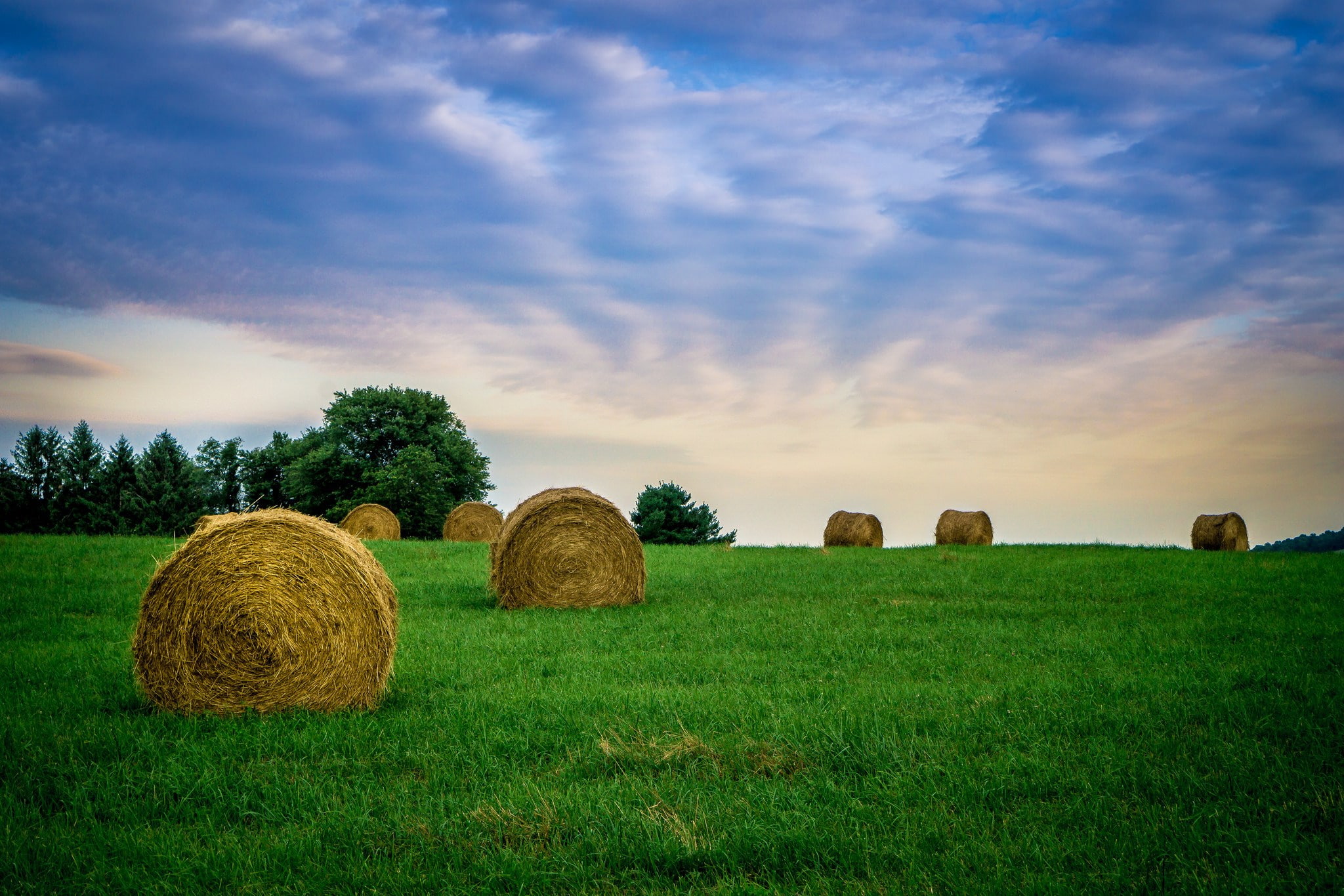 haystack