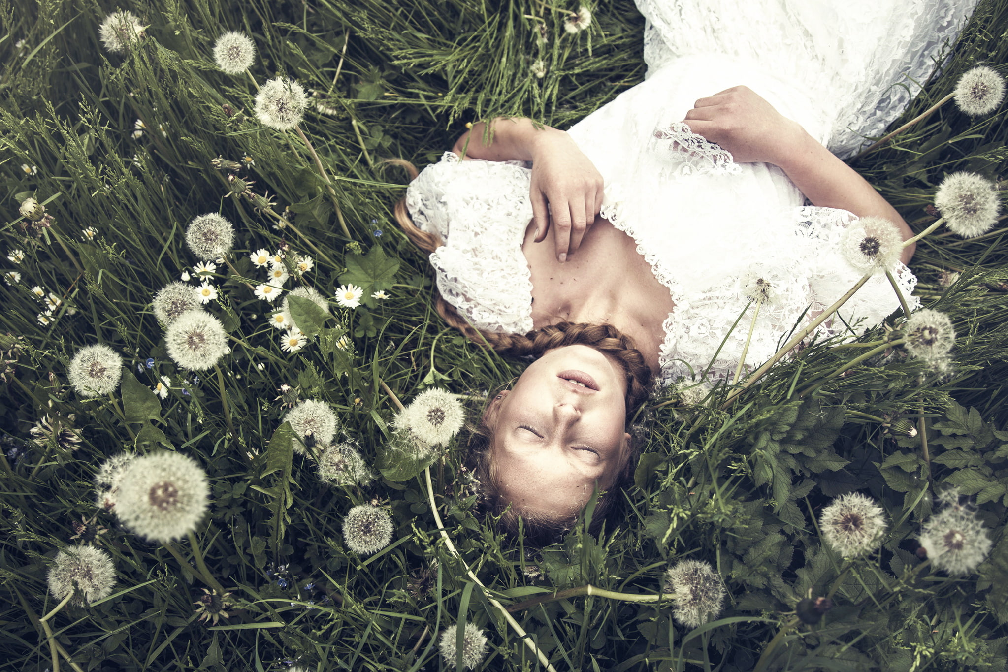 girl, braid, dandelions, Thinloh