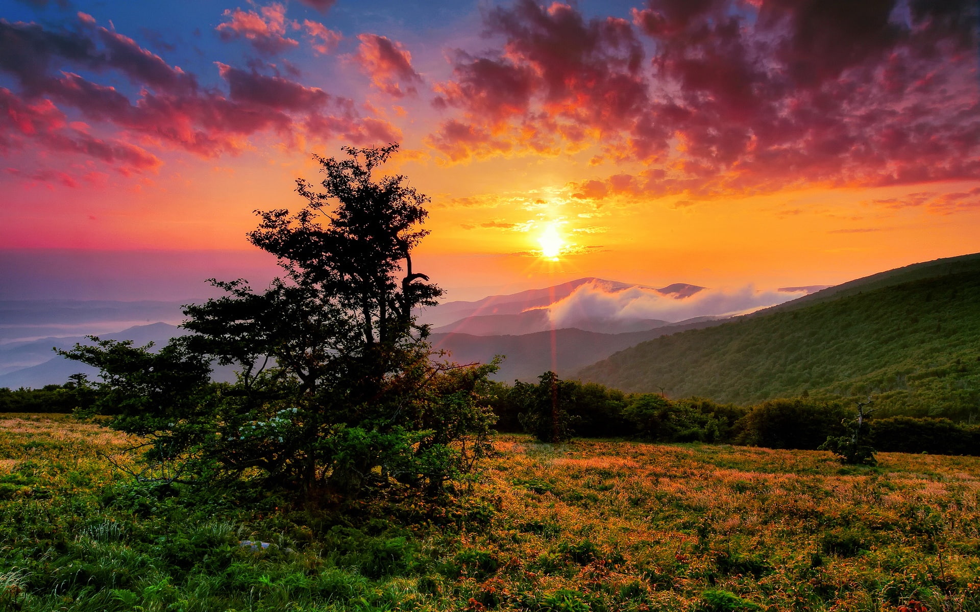 USA, North Carolina, morning, clouds, sunrise, mountains, hills, trees