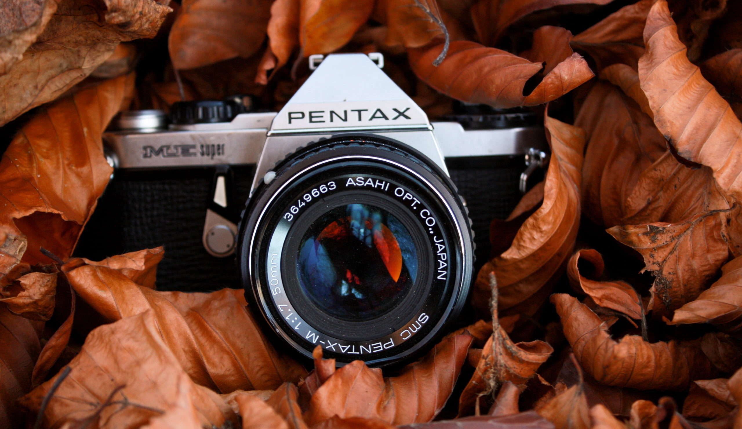 macro, background, camera