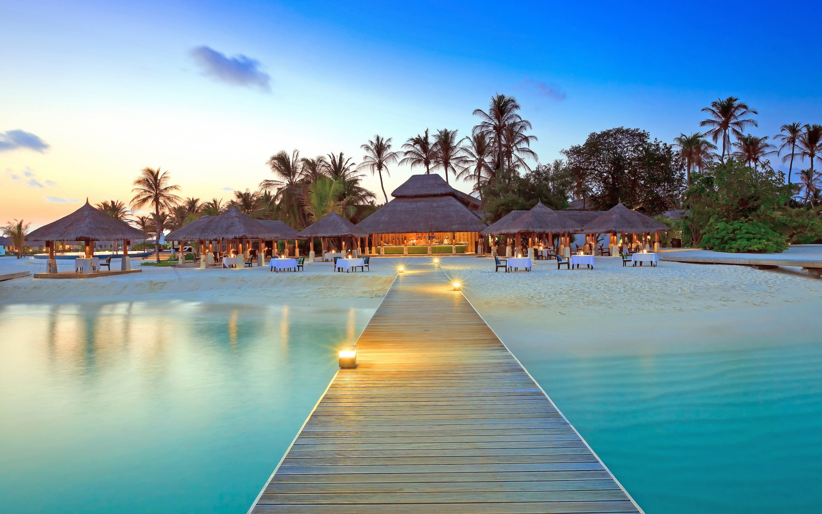 brown wooden dock, Maldives, island, beach, palm trees, water