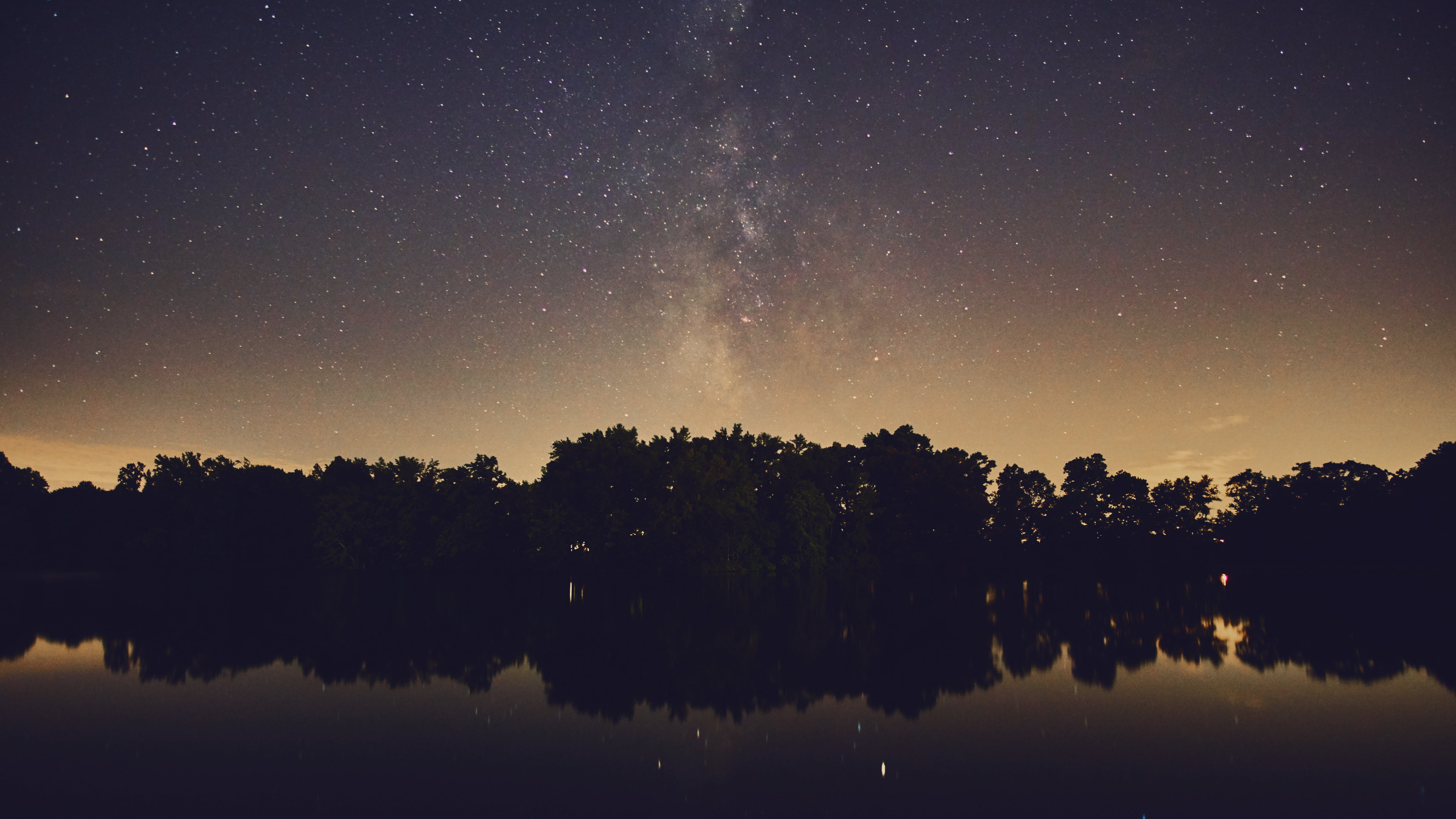 silhouette of trees near body of water, Milky Way, stars, nature