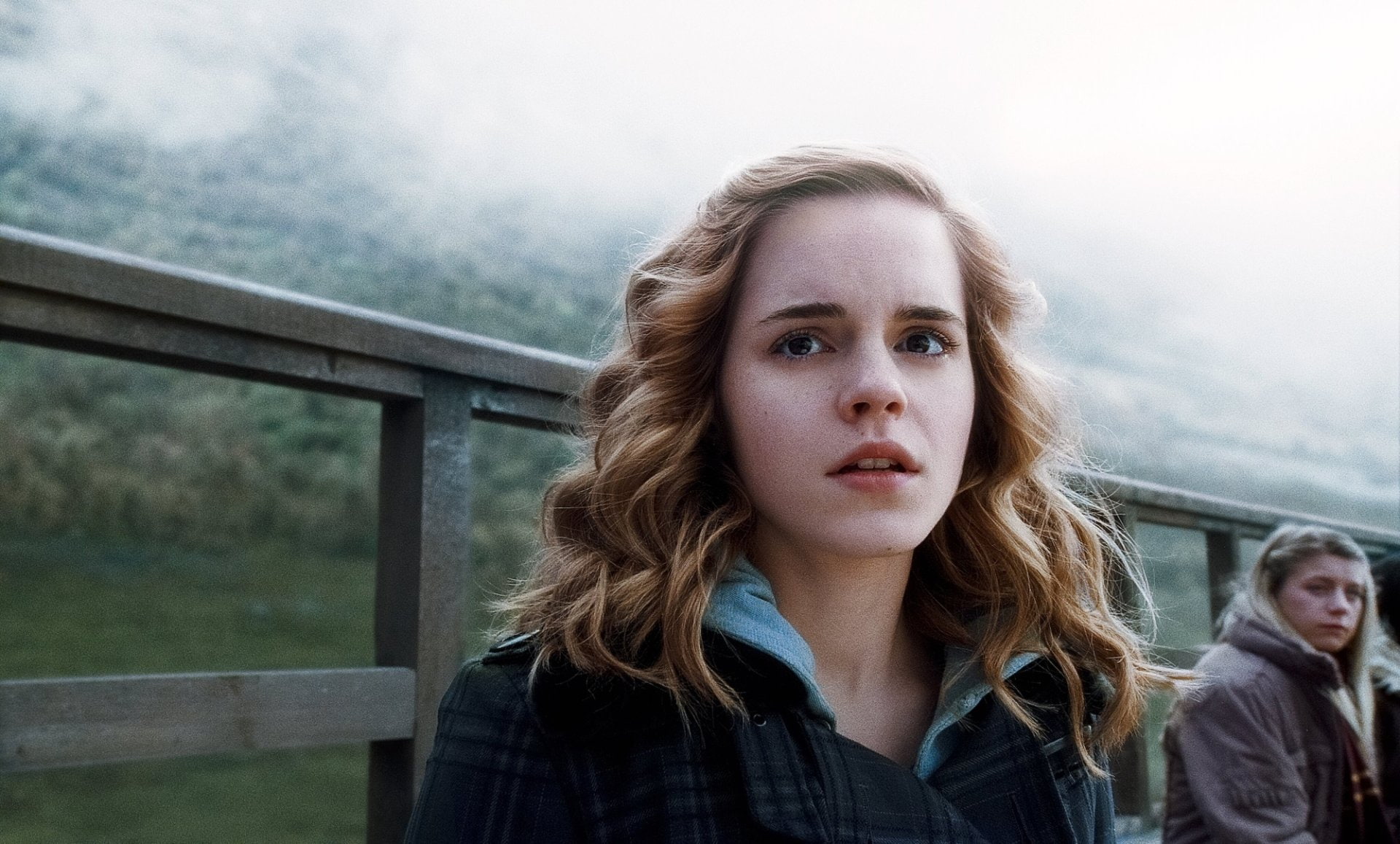 Harry Potter, Harry Potter and the Half-Blood Prince, Hermione Granger