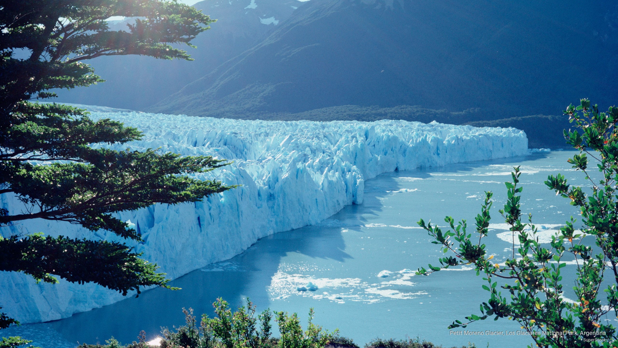 Petit Moreno Glacier, Los Glaciares National Park, Argentina
