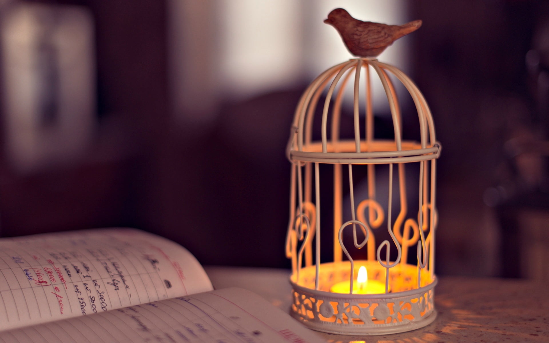 white birdcage candle holder, light, background, the inscription