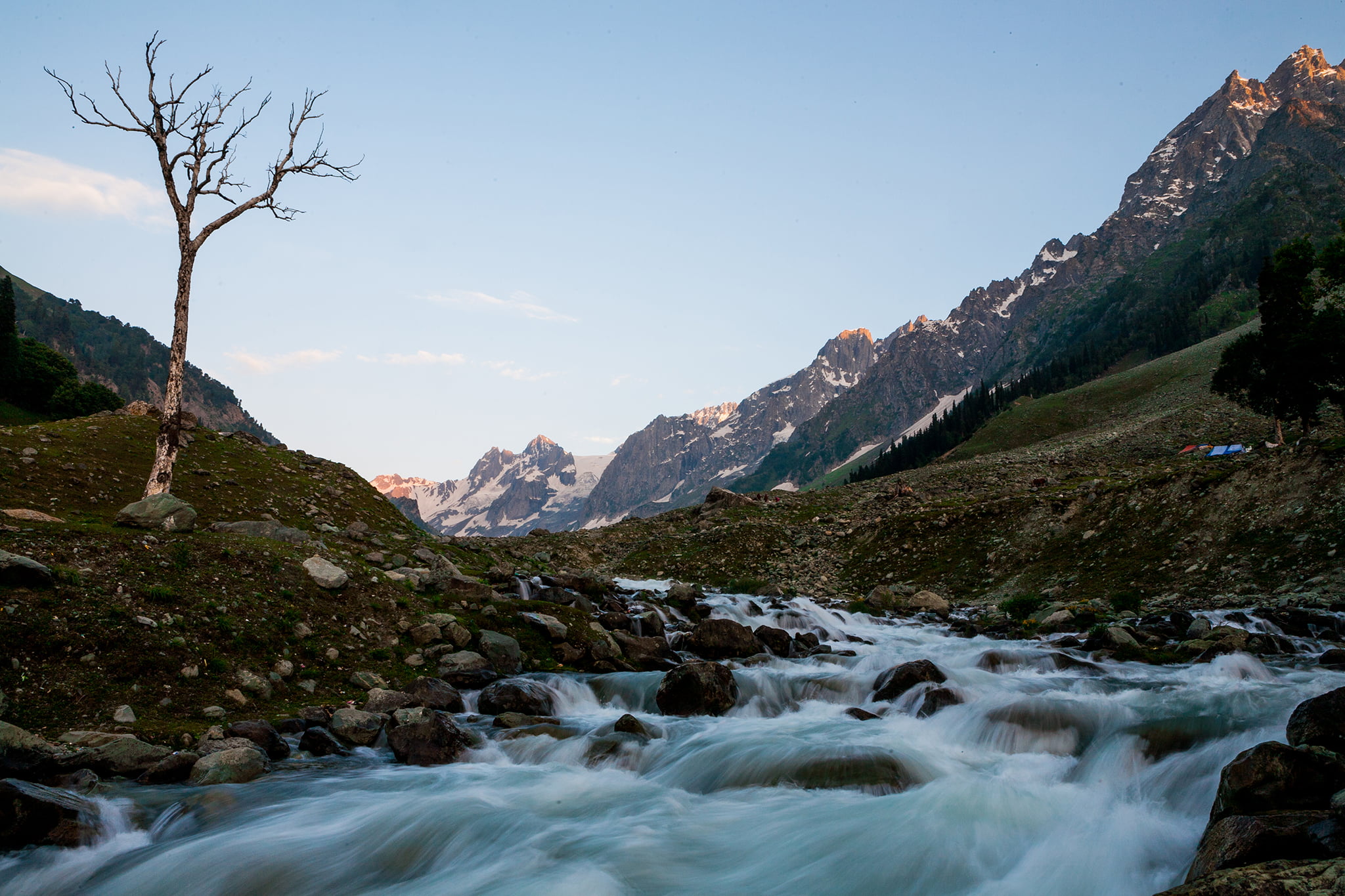 tree on side of river, sonmarg, india, sonmarg, india, Landscape