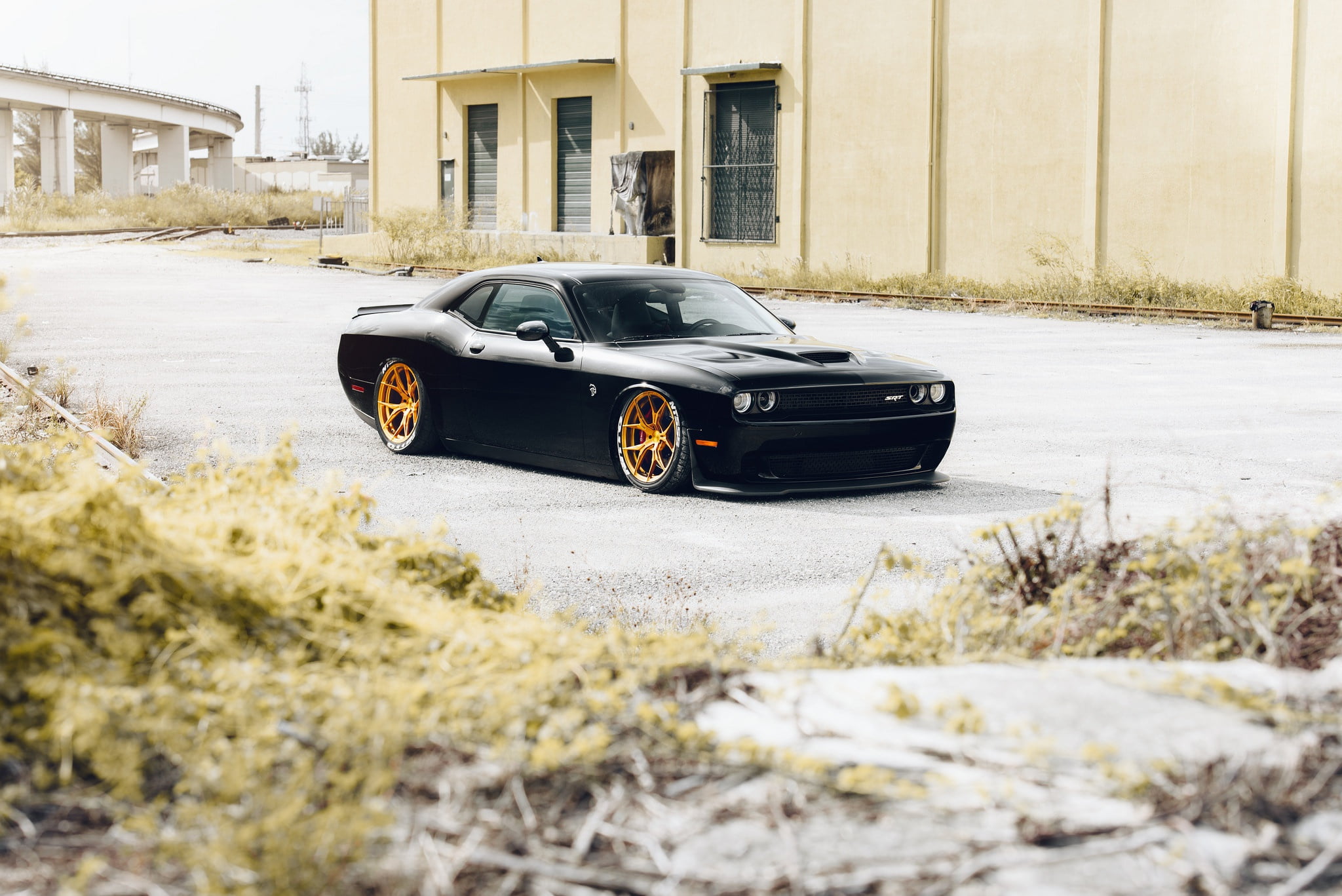 Free download | HD wallpaper: Dodge, Black, Hellcat, Wheels, Rohana ...