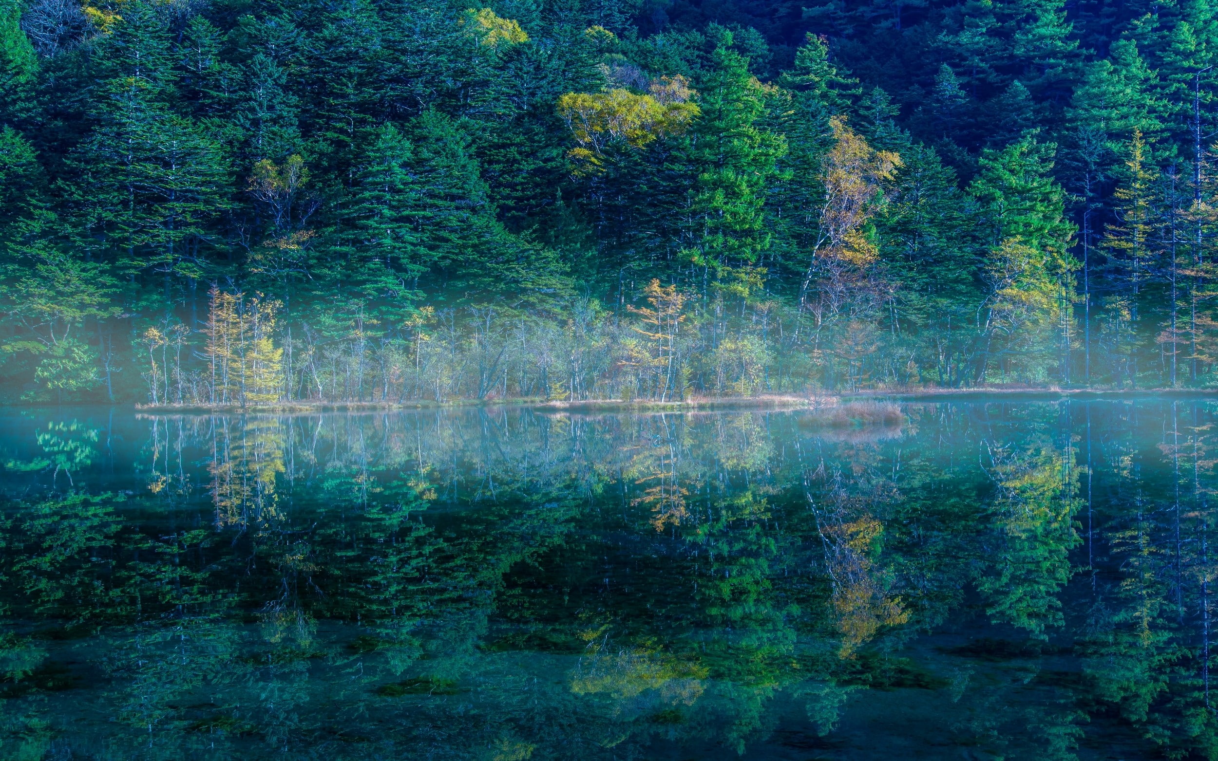 nature, landscape, lake, reflection, mist, water, morning, Japan