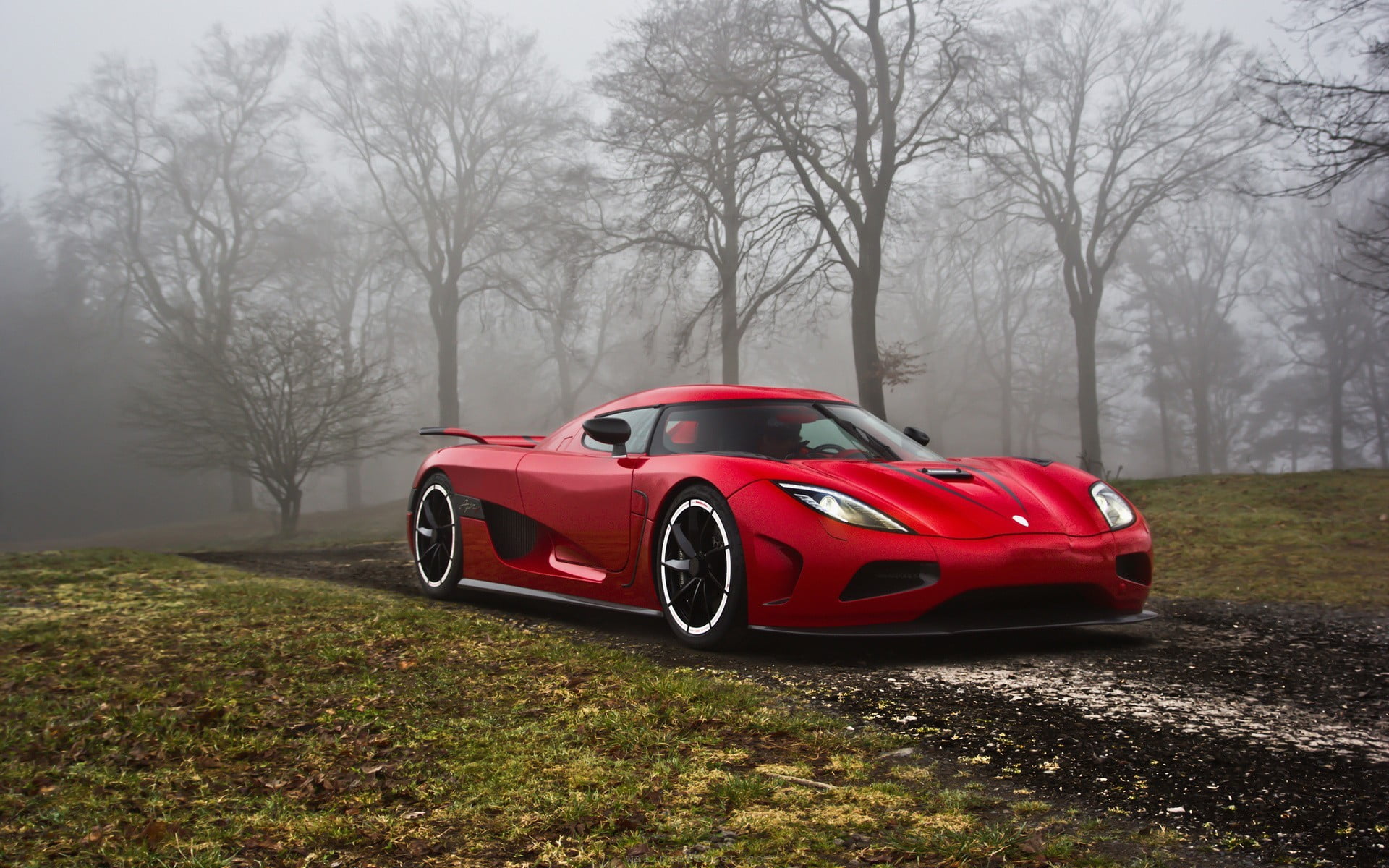red and black car bed frame, Koenigsegg Agera R, dusk, tree, plant