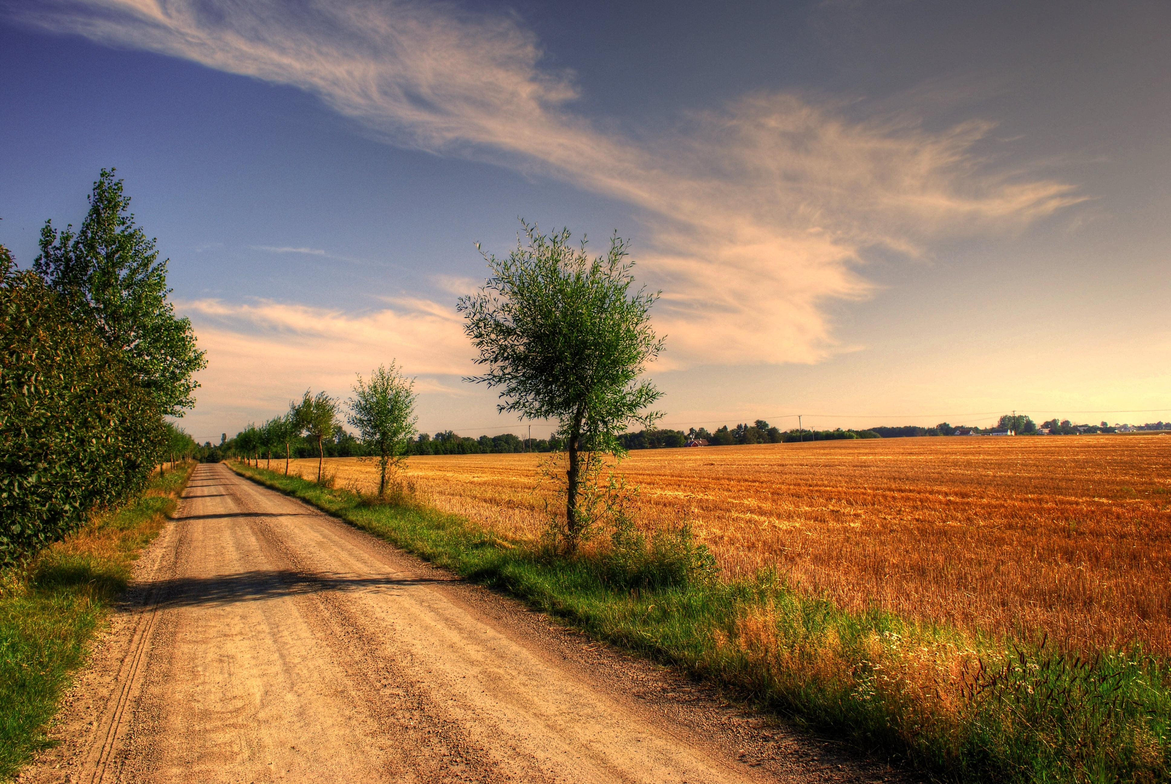 green trees, field, road, landscape, nature, rural Scene, outdoors