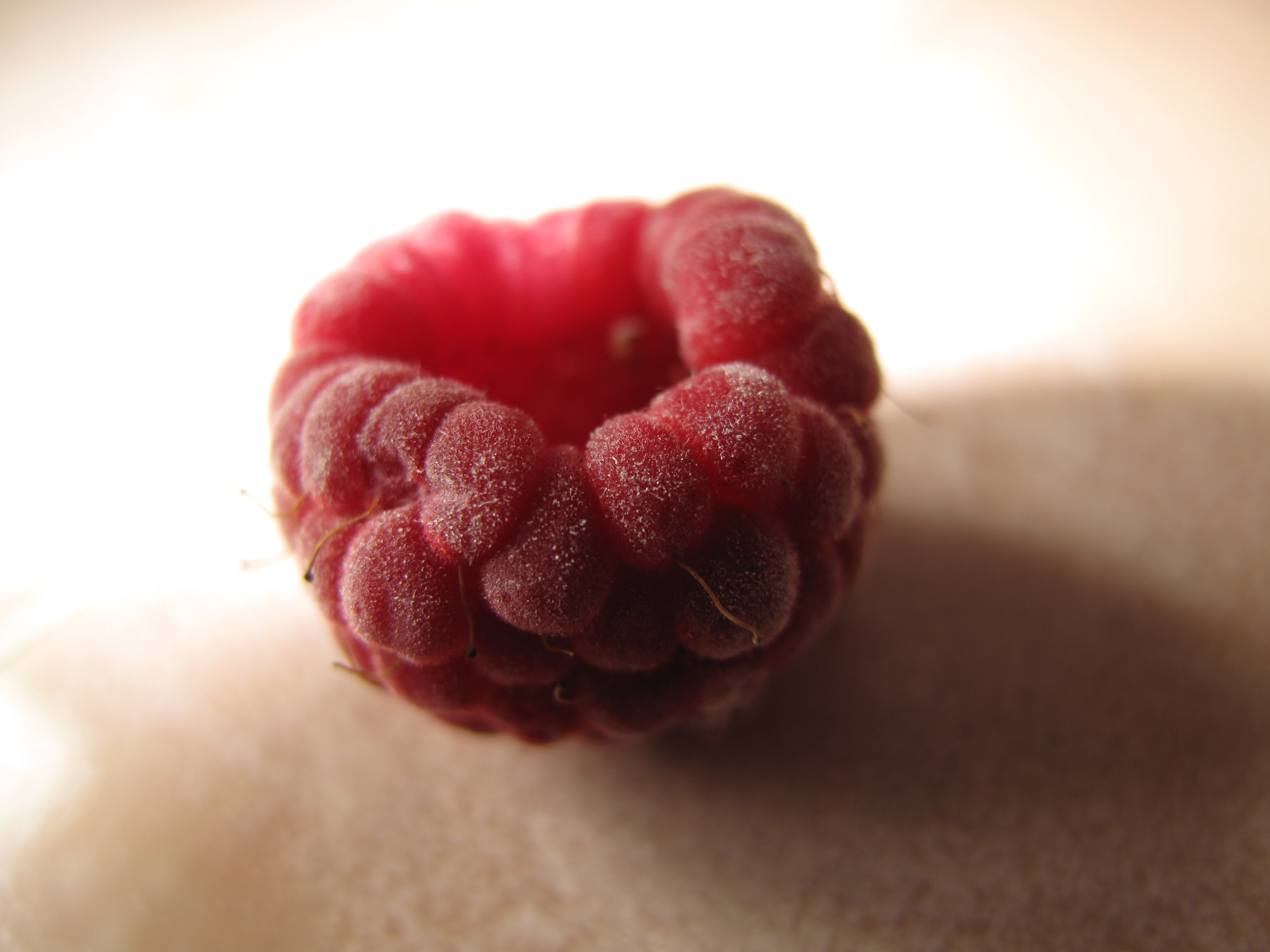 raspberry