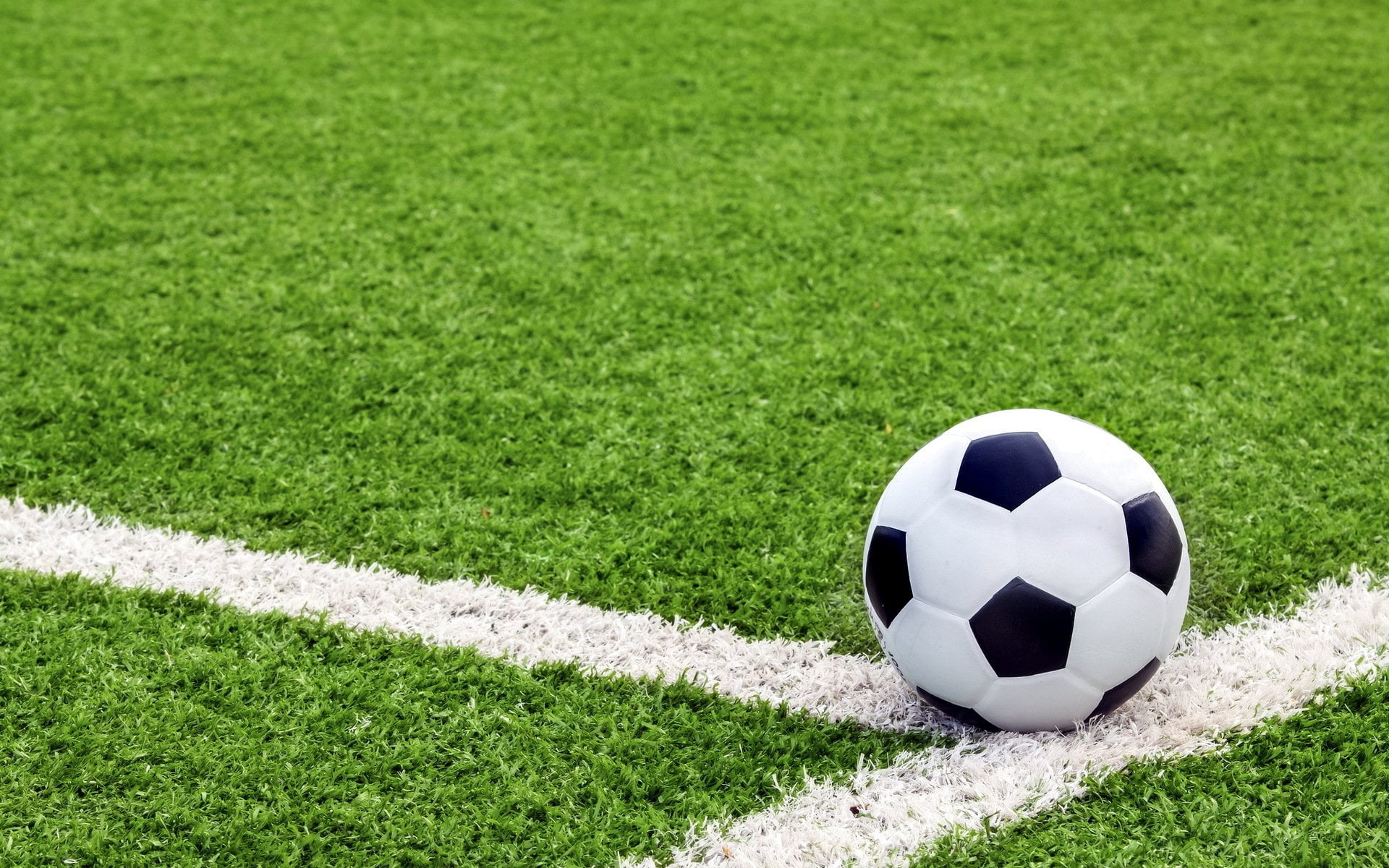 black and white soccerball, sport, grass, team sport, soccer ball