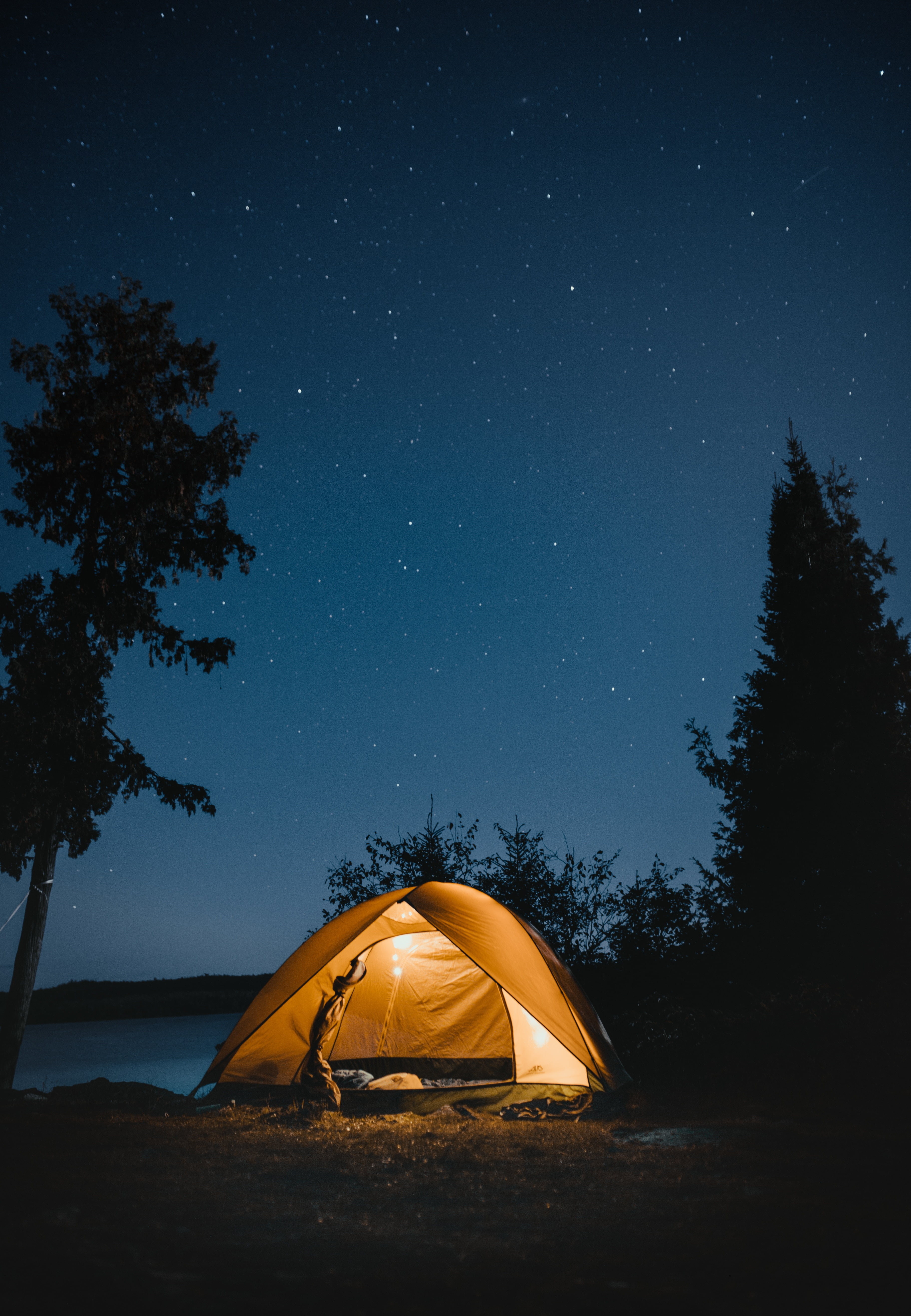 tent, night, camping, starry sky, travel, star - space, tree