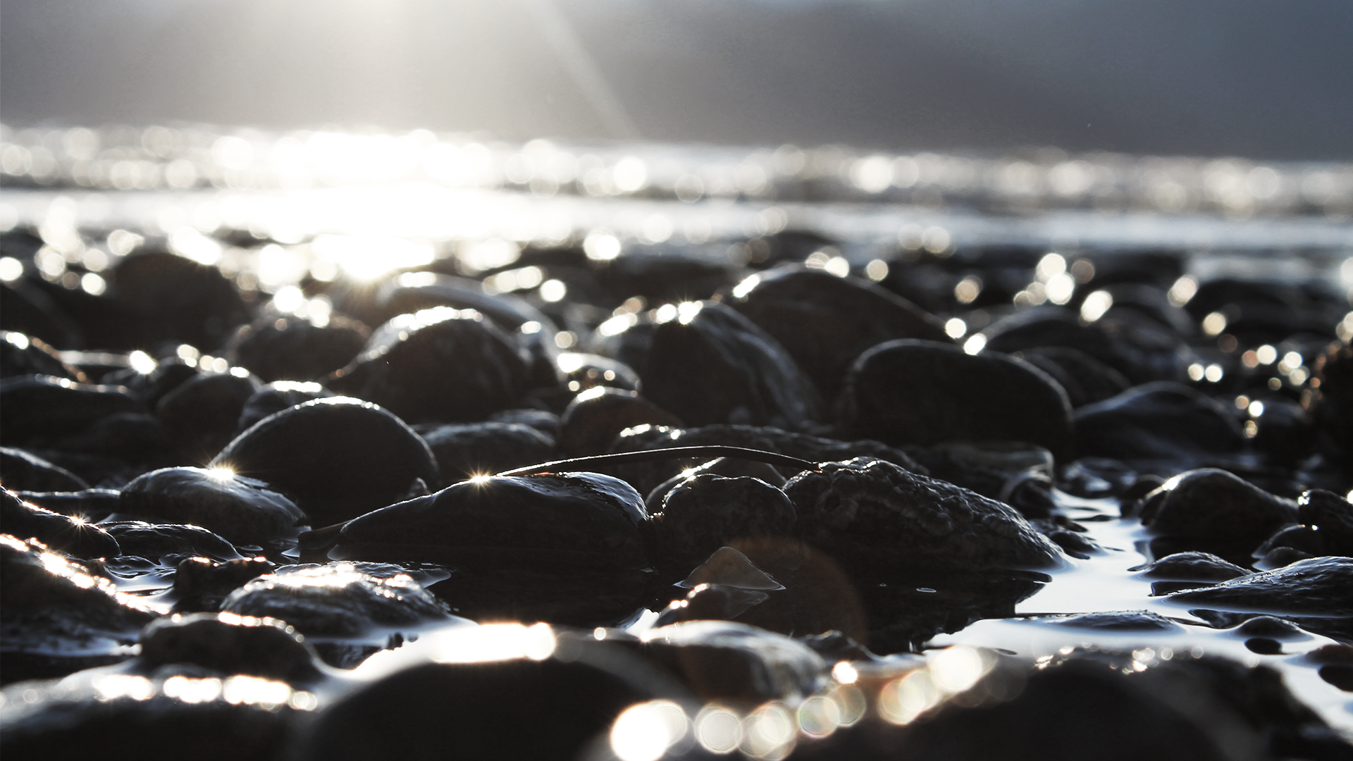 ocean, reflection, rocks, stones, sunlight, wet