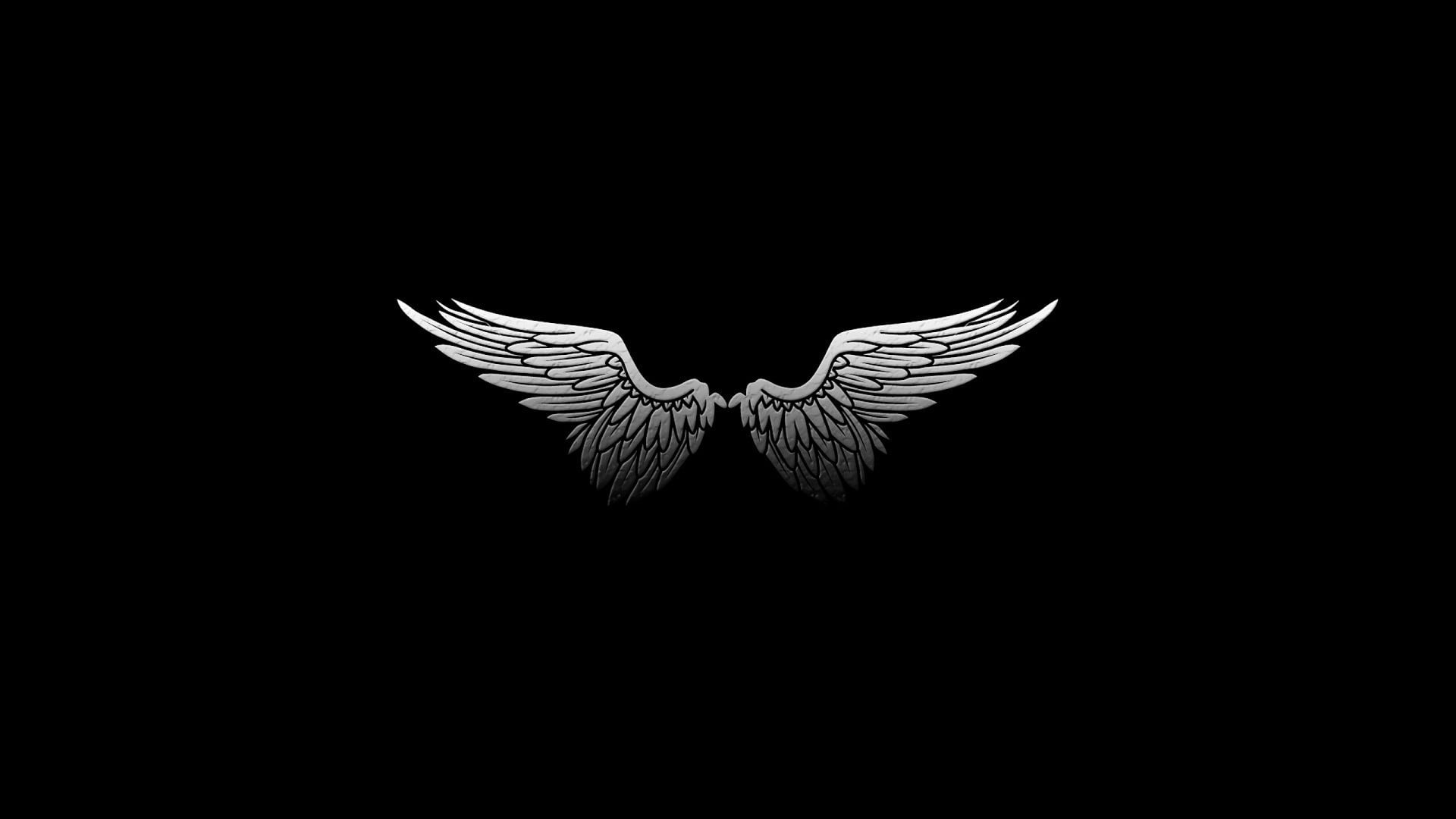 silver wings, black background, digital art, minimalism, feathers