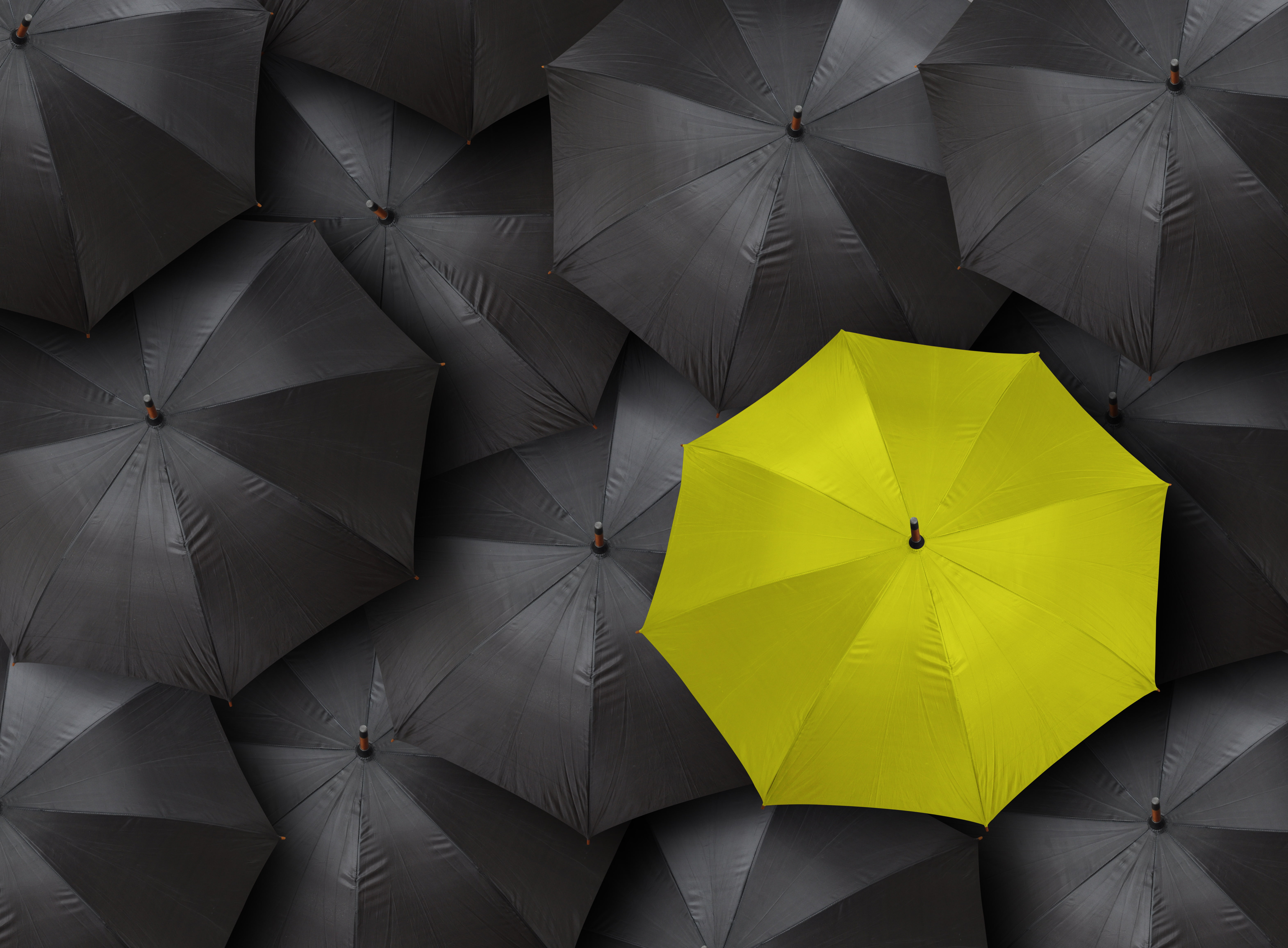 black, yellow, umbrella