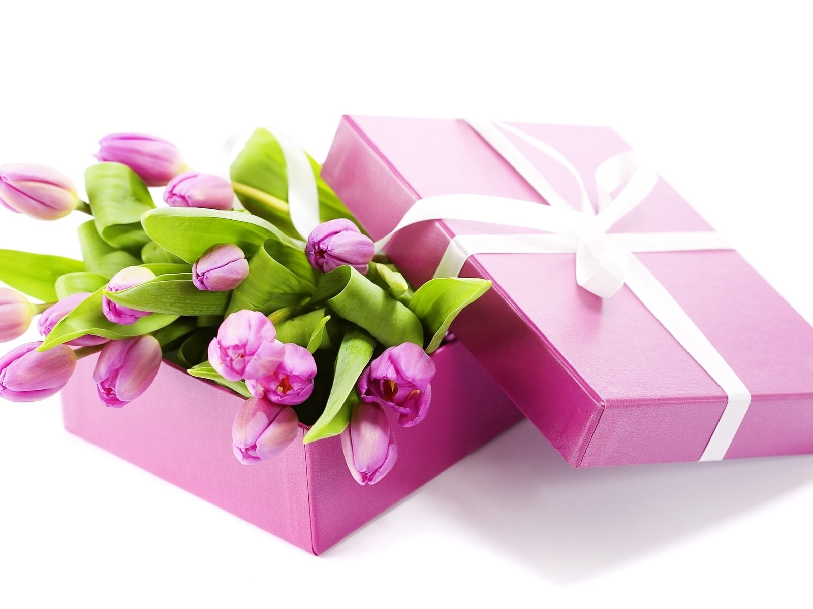 gift box of purple tulip flowers, tulips, ribbon, box - Container