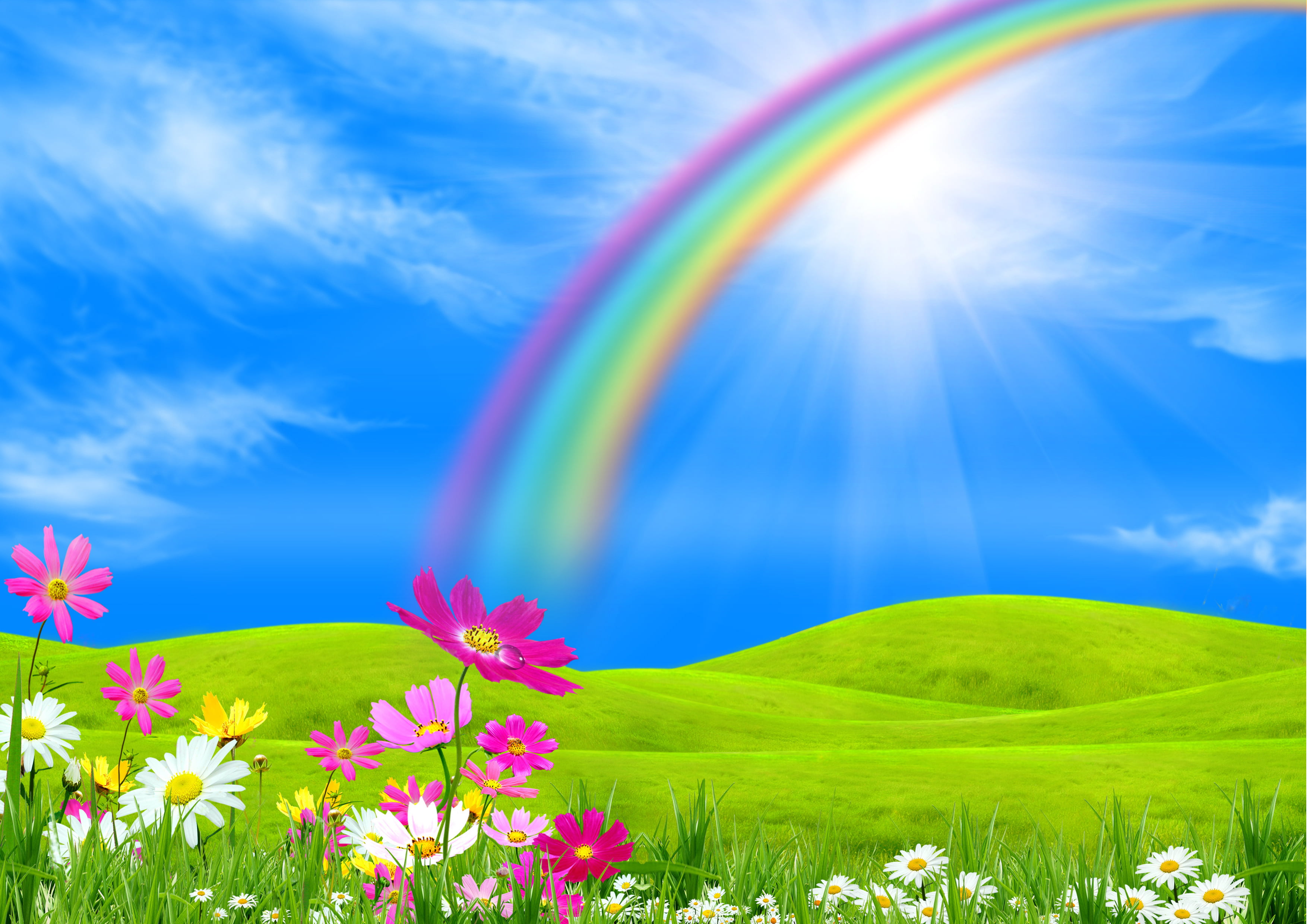 flowers and rainbow illustration, field, trees, landscape, nature