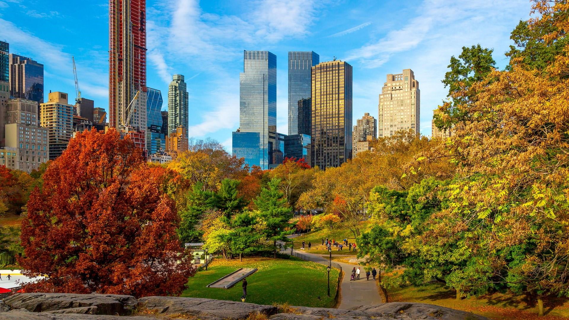 cityscape, park, us, new york city, usa, metropolis, sky, tree