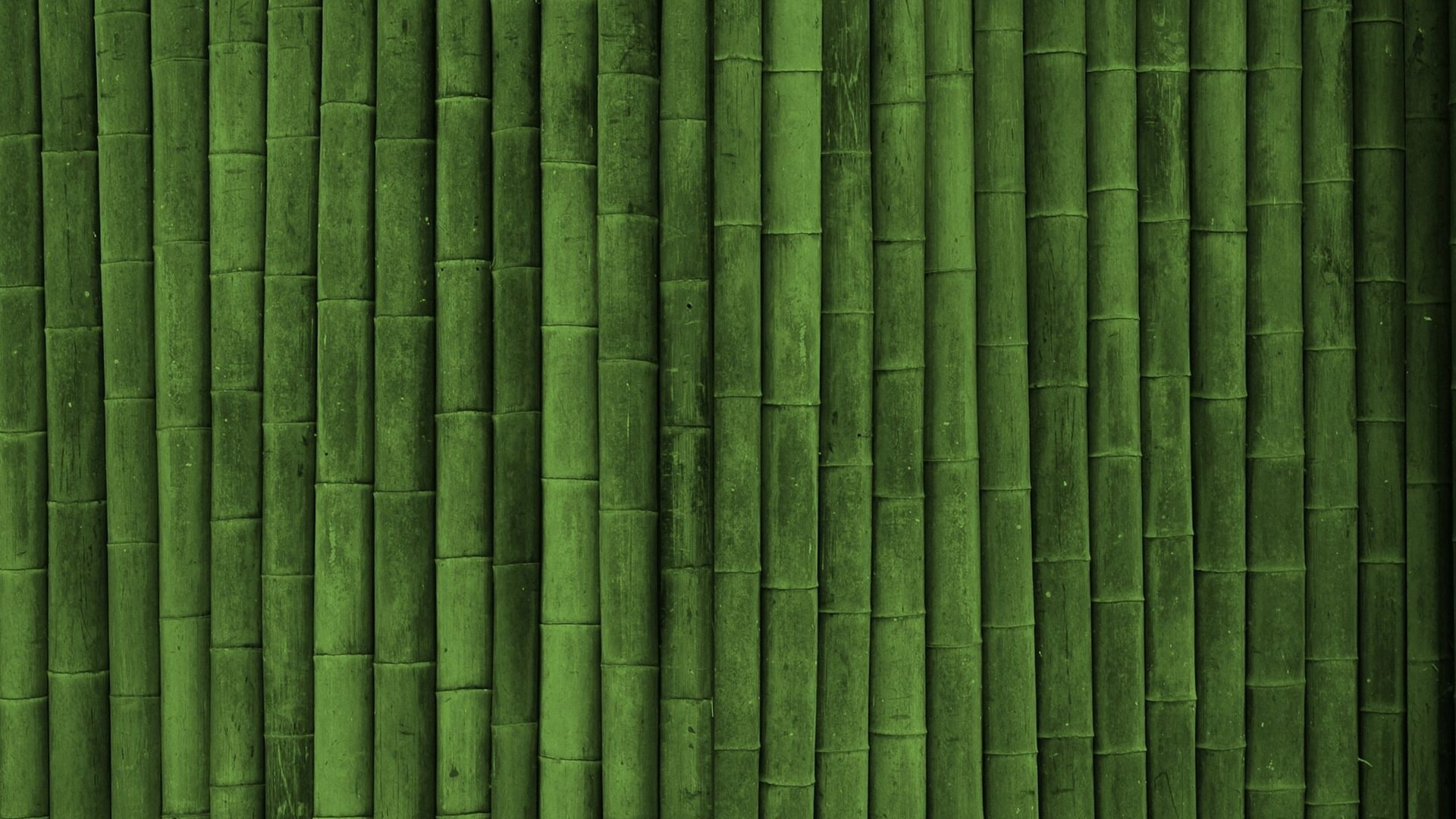 abstract, bamboo, wood, material, texture, pattern, plant, leaf