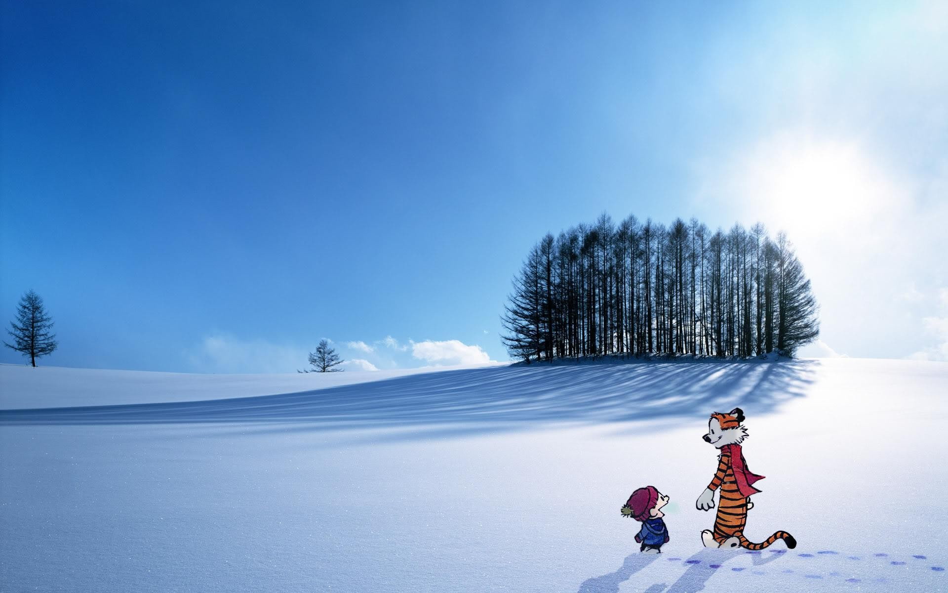 Calvin And Hobbes, landscape, snow