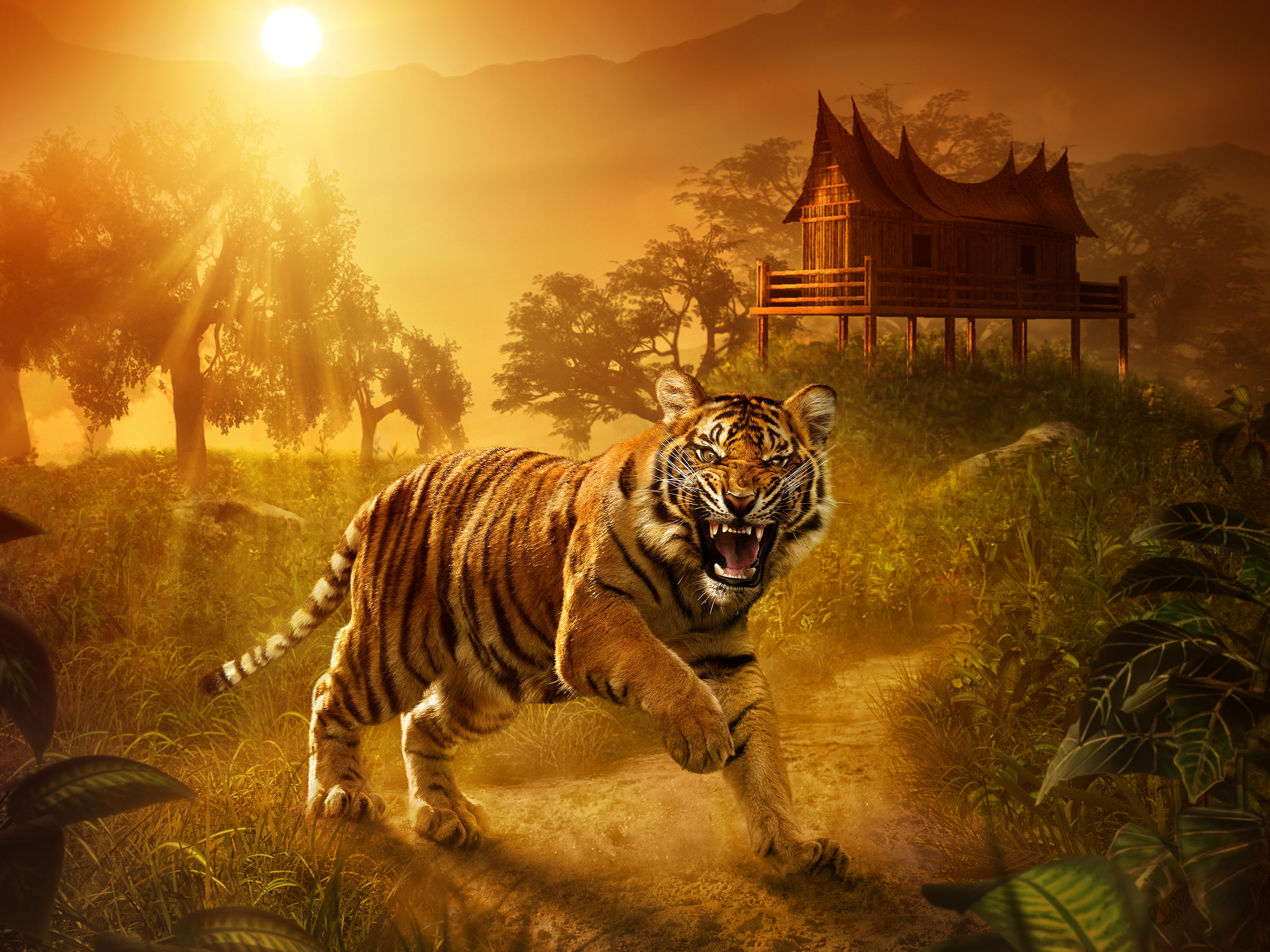 Tiger Sunlight HD, animals