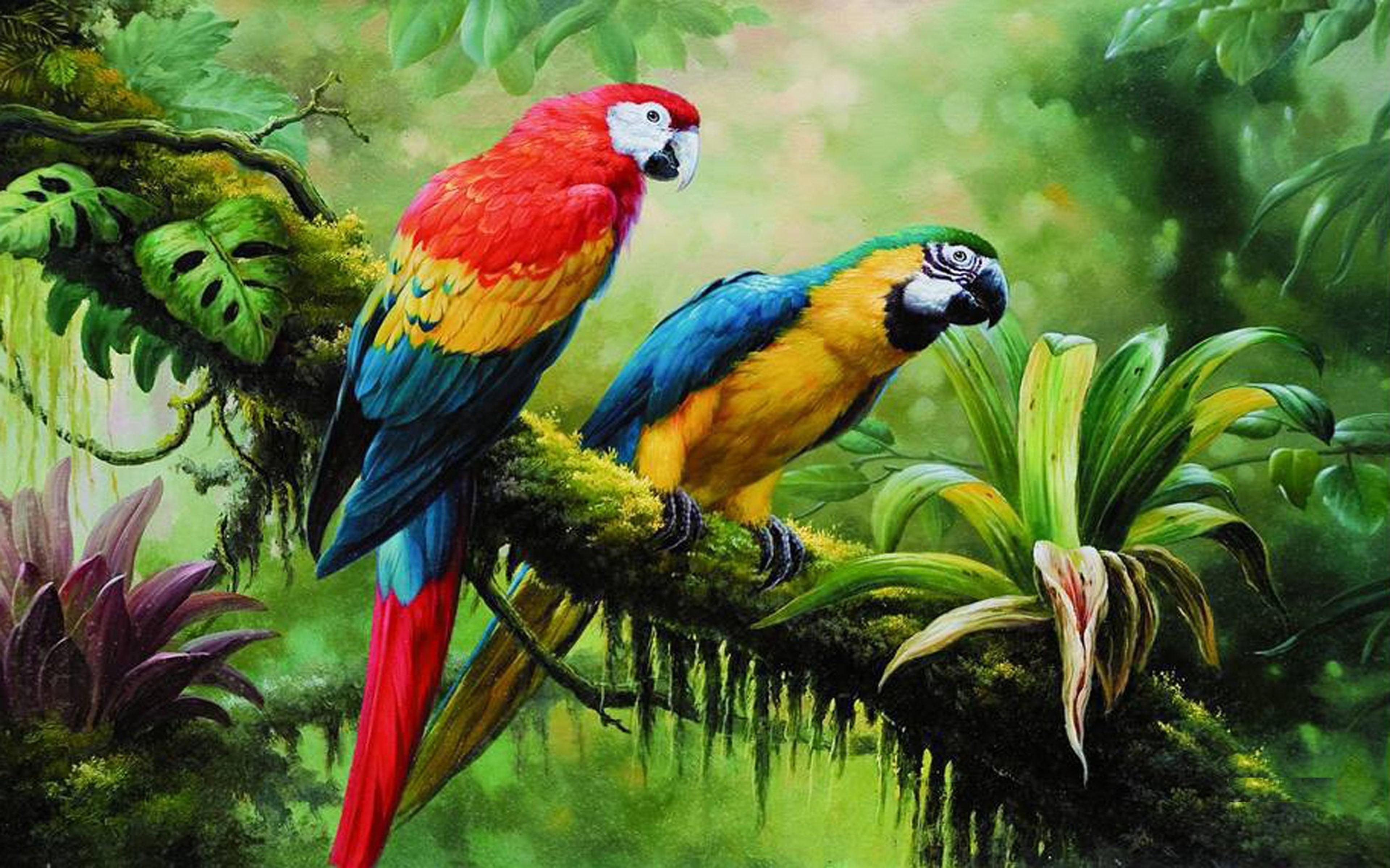 Macaw Parrot Wild Birds From Jungle Rainforest Swamp Green Dense Vegetation Art Photography Parrot On Branch Hd Wallpaper For Pc Tablet And Mobile 3840×2400