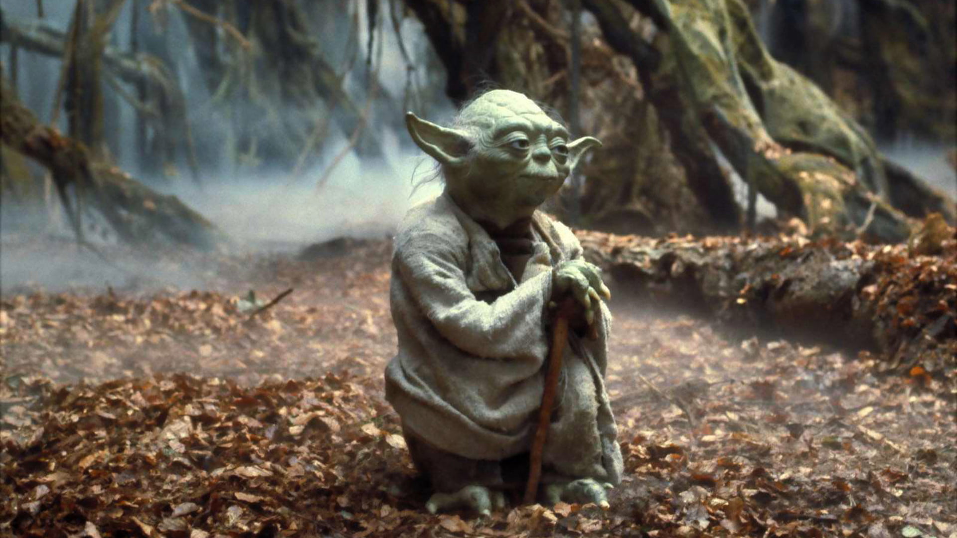 Star Wars Yoda, Star Wars: Episode V - The Empire Strikes Back