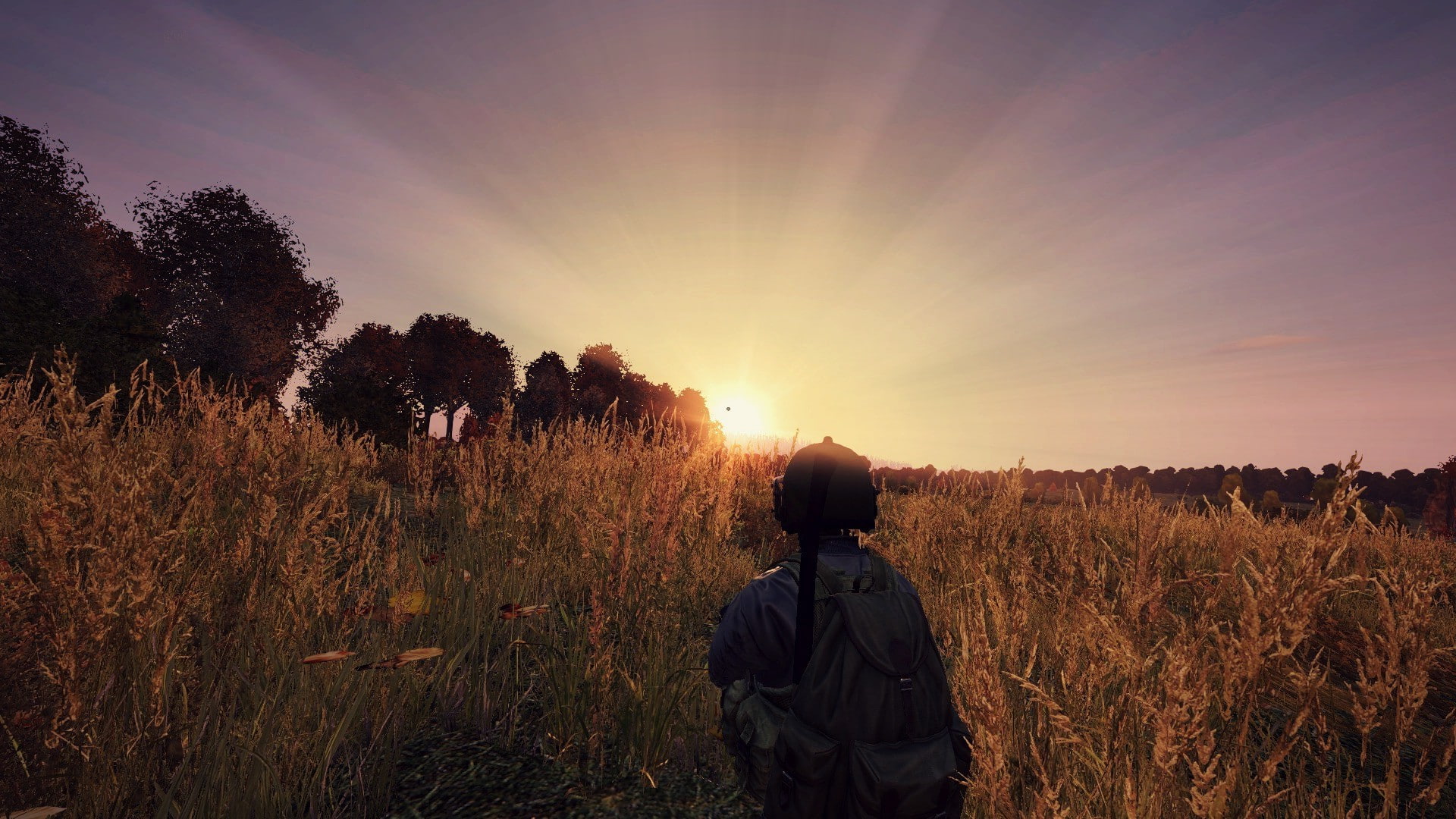 Free download | HD wallpaper: DayZ, video games, field, land, plant ...