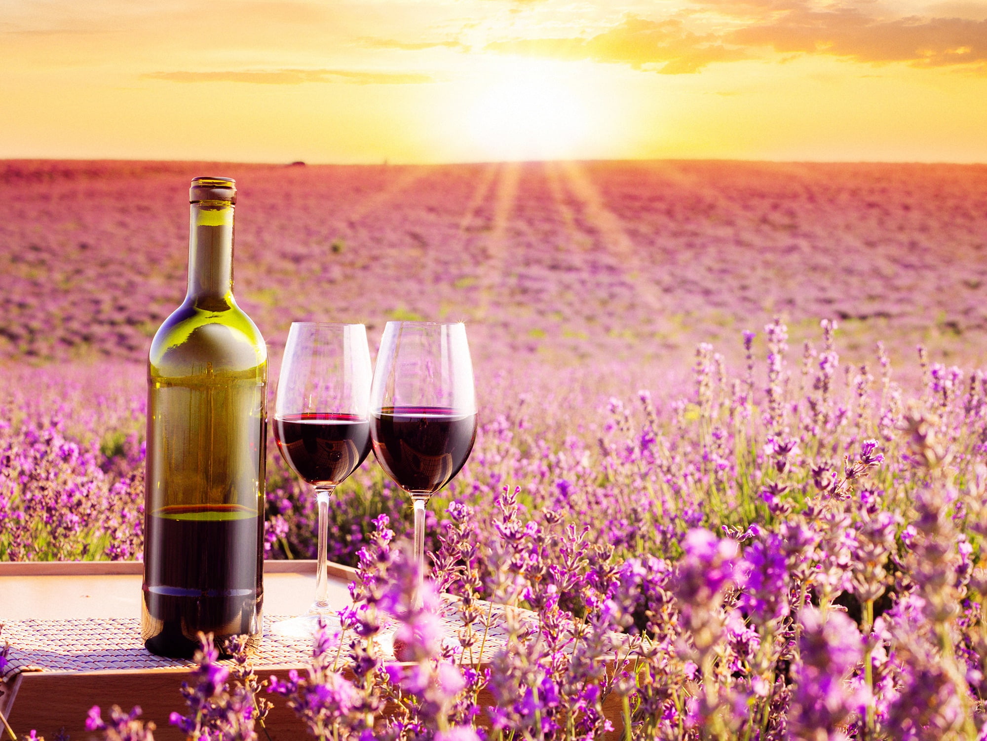 field, the sky, the sun, rays, landscape, flowers, wine, bottle